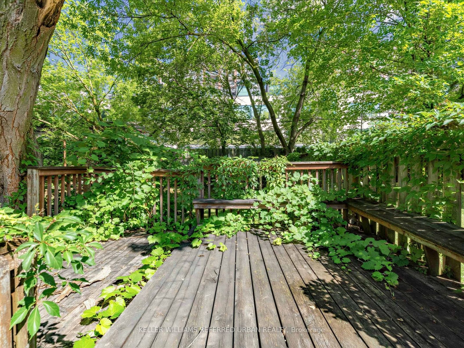 32 Granlea Road Property Photo 23