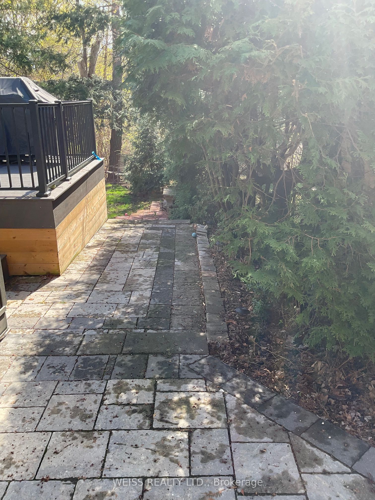 55 Addington Avenue B Property Photo 25