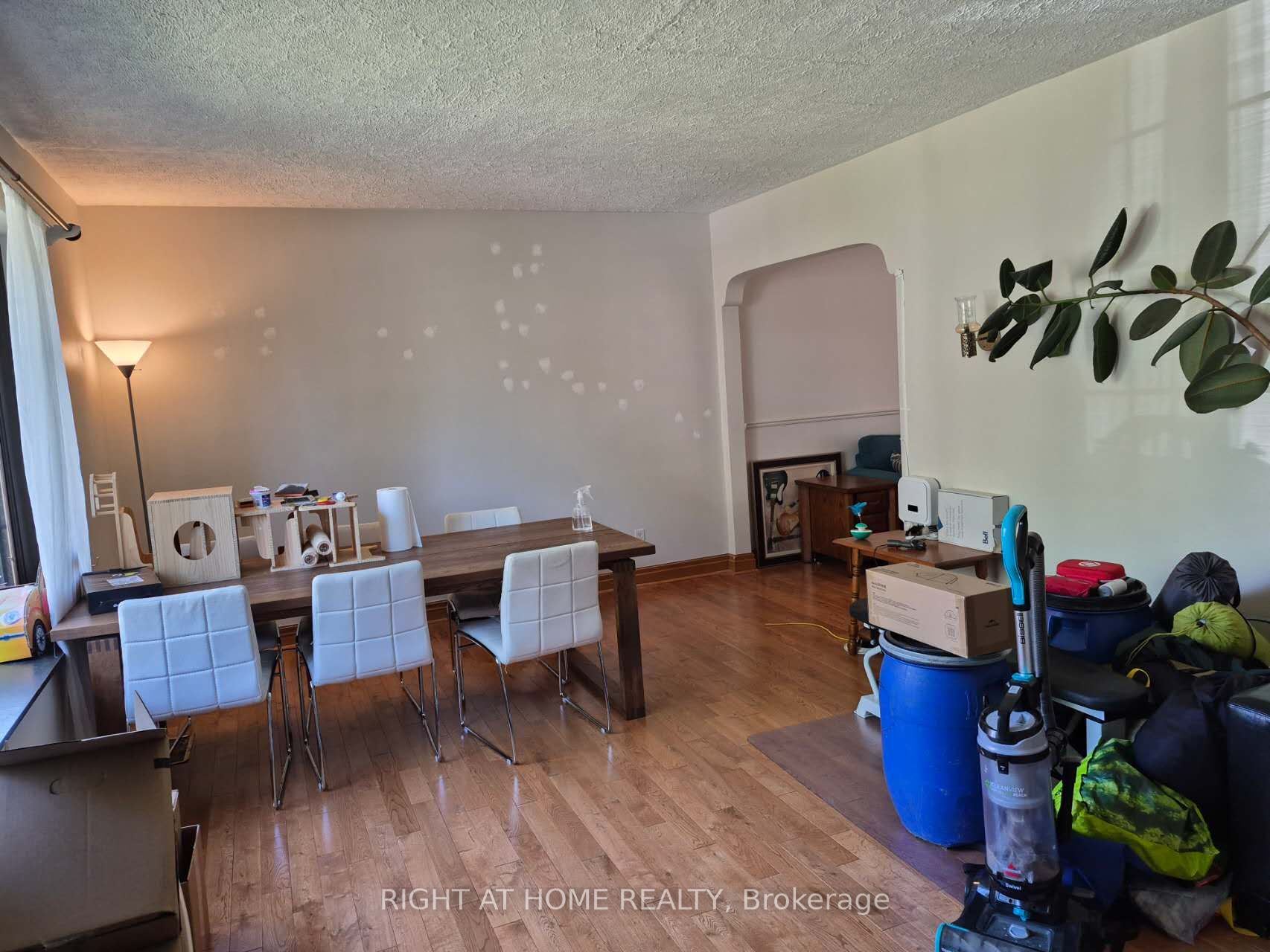 17 Gwendolen Avenue Property Photo 2