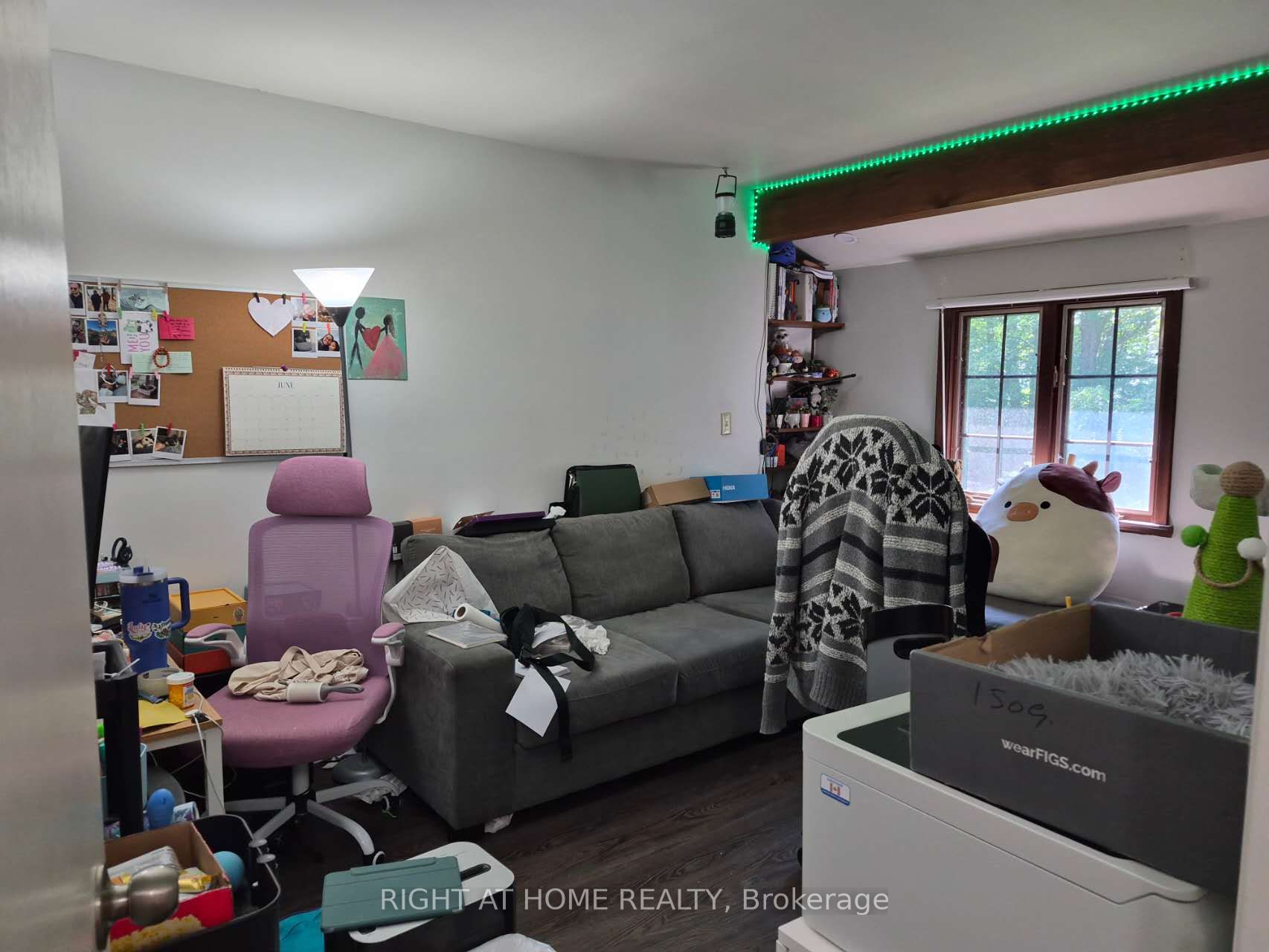 17 Gwendolen Avenue Property Photo 16