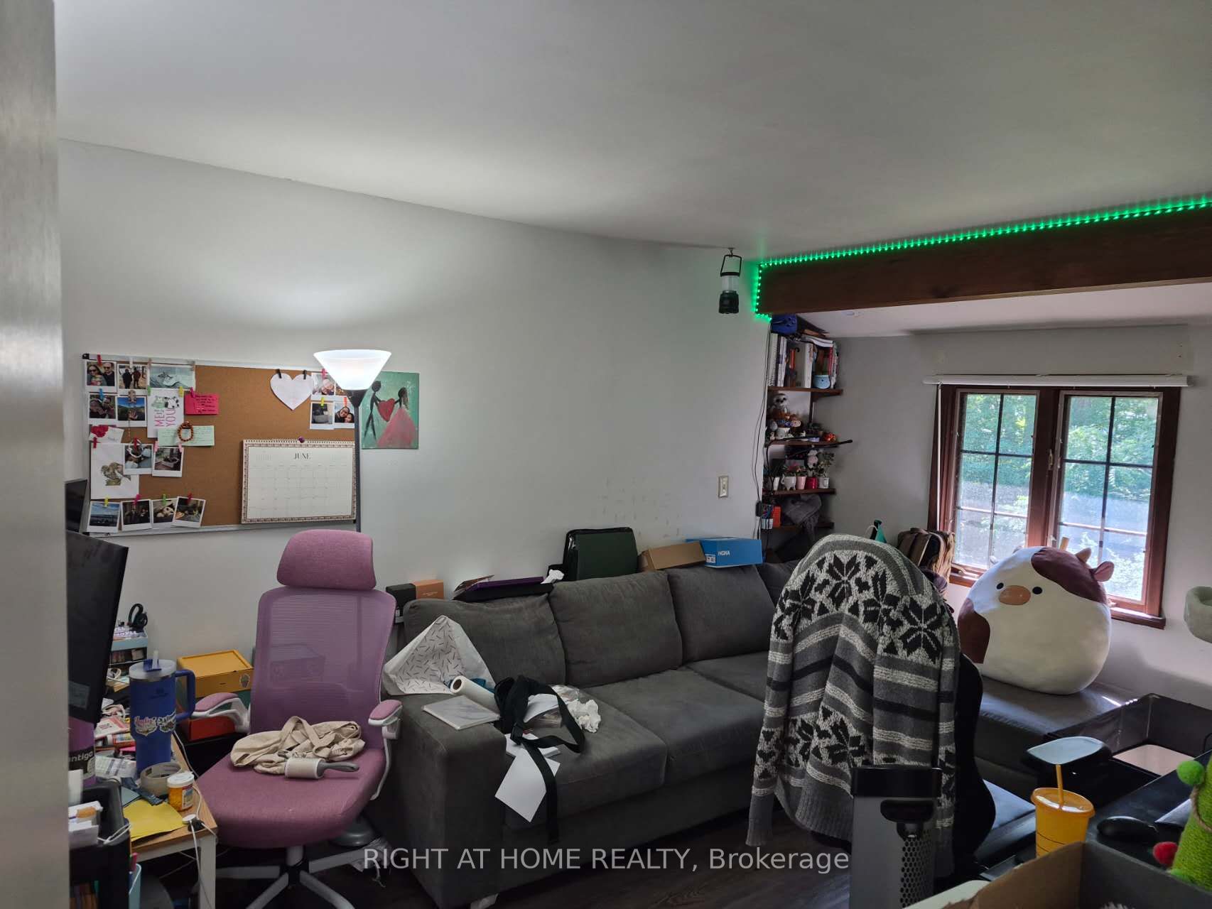 17 Gwendolen Avenue Property Photo 17