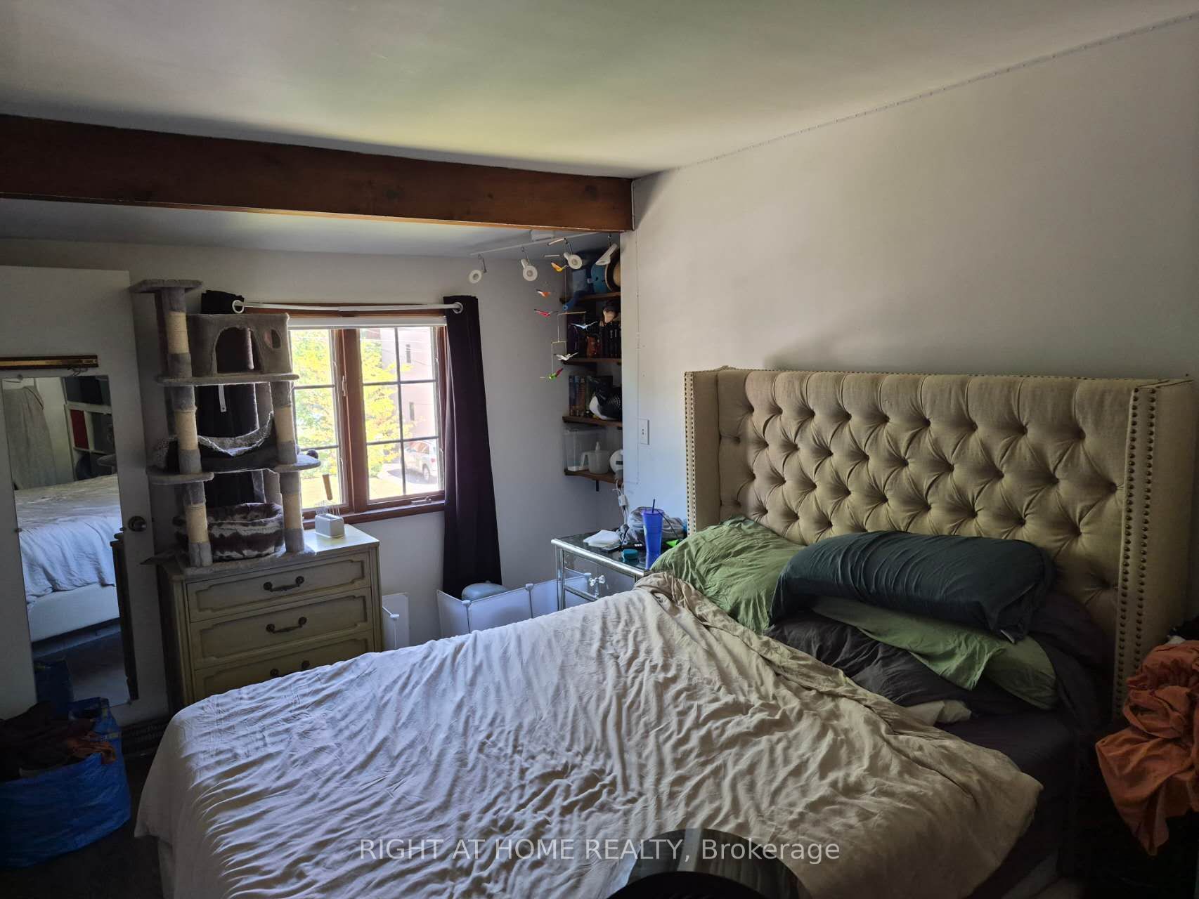 17 Gwendolen Avenue Property Photo 18