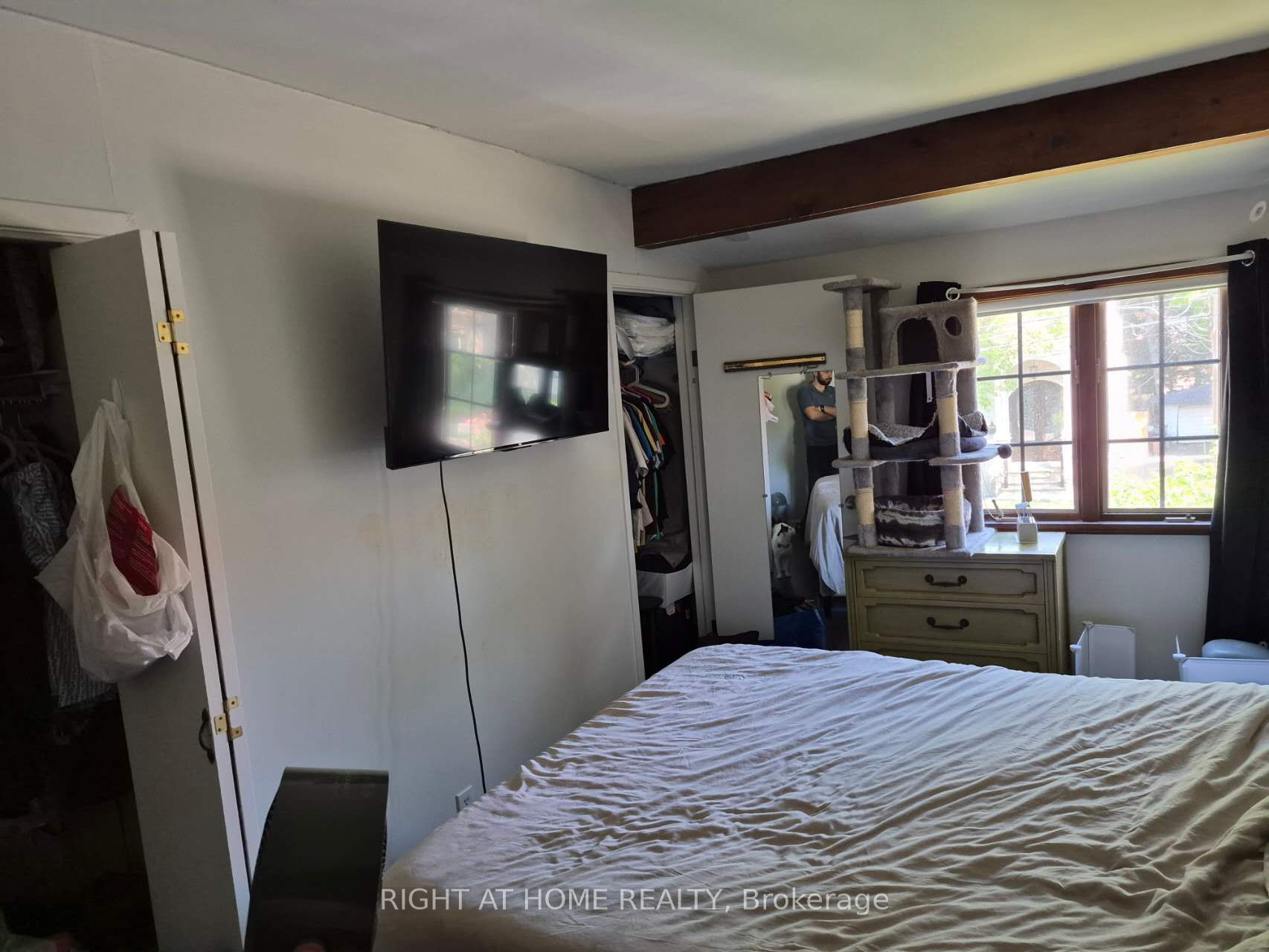 17 Gwendolen Avenue Property Photo 19