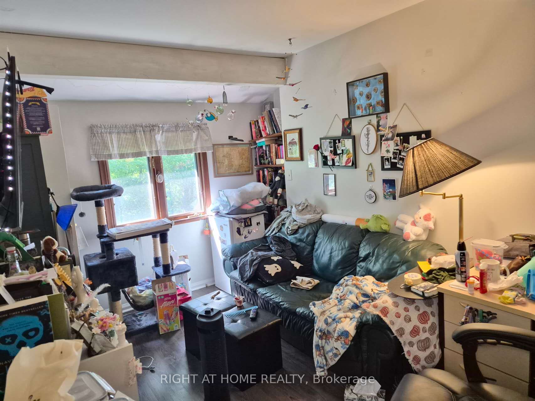 17 Gwendolen Avenue Property Photo 22