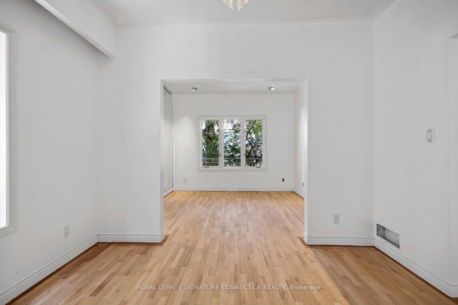 19 Mitchell Avenue Main Property Photo 5