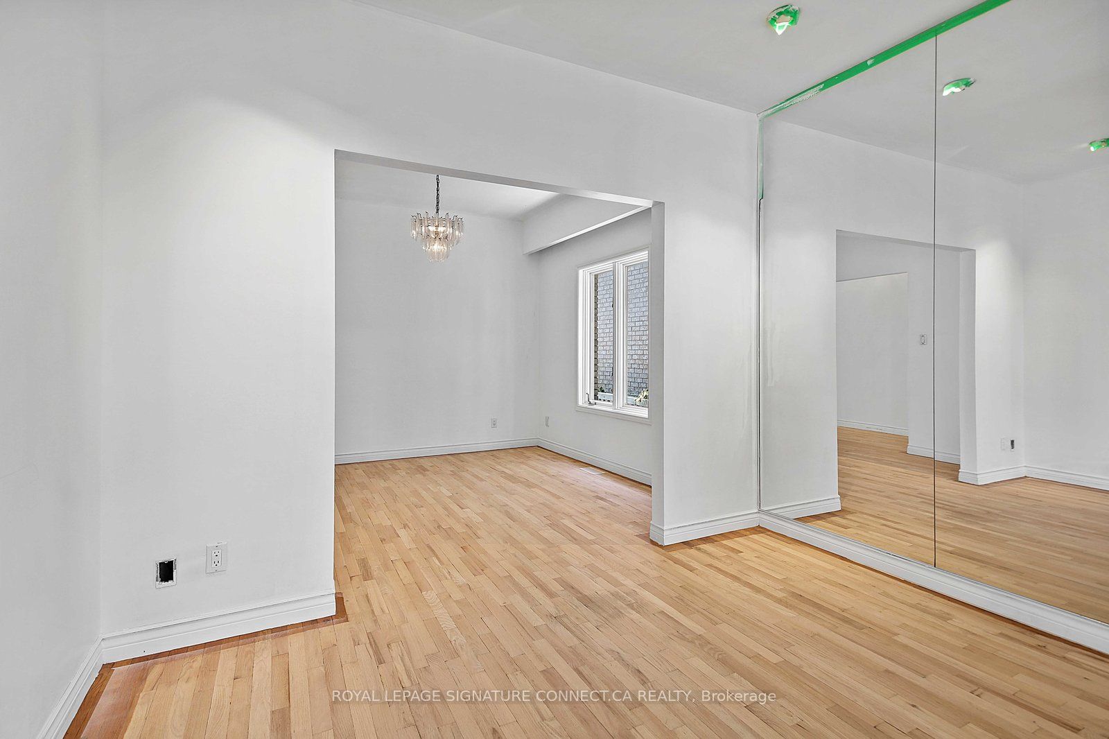 19 Mitchell Avenue Main Property Photo 6