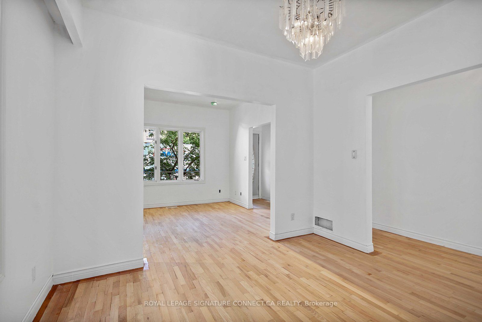 19 Mitchell Avenue Main Property Photo 8