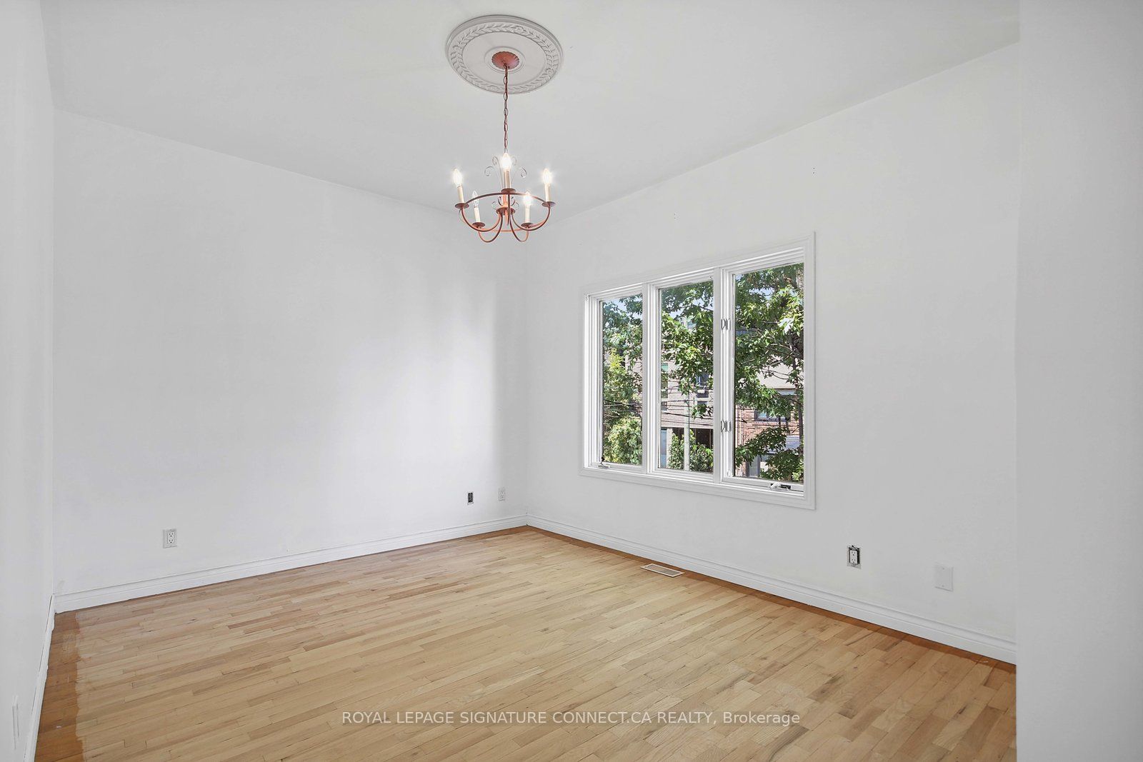 19 Mitchell Avenue Main Property Photo 14