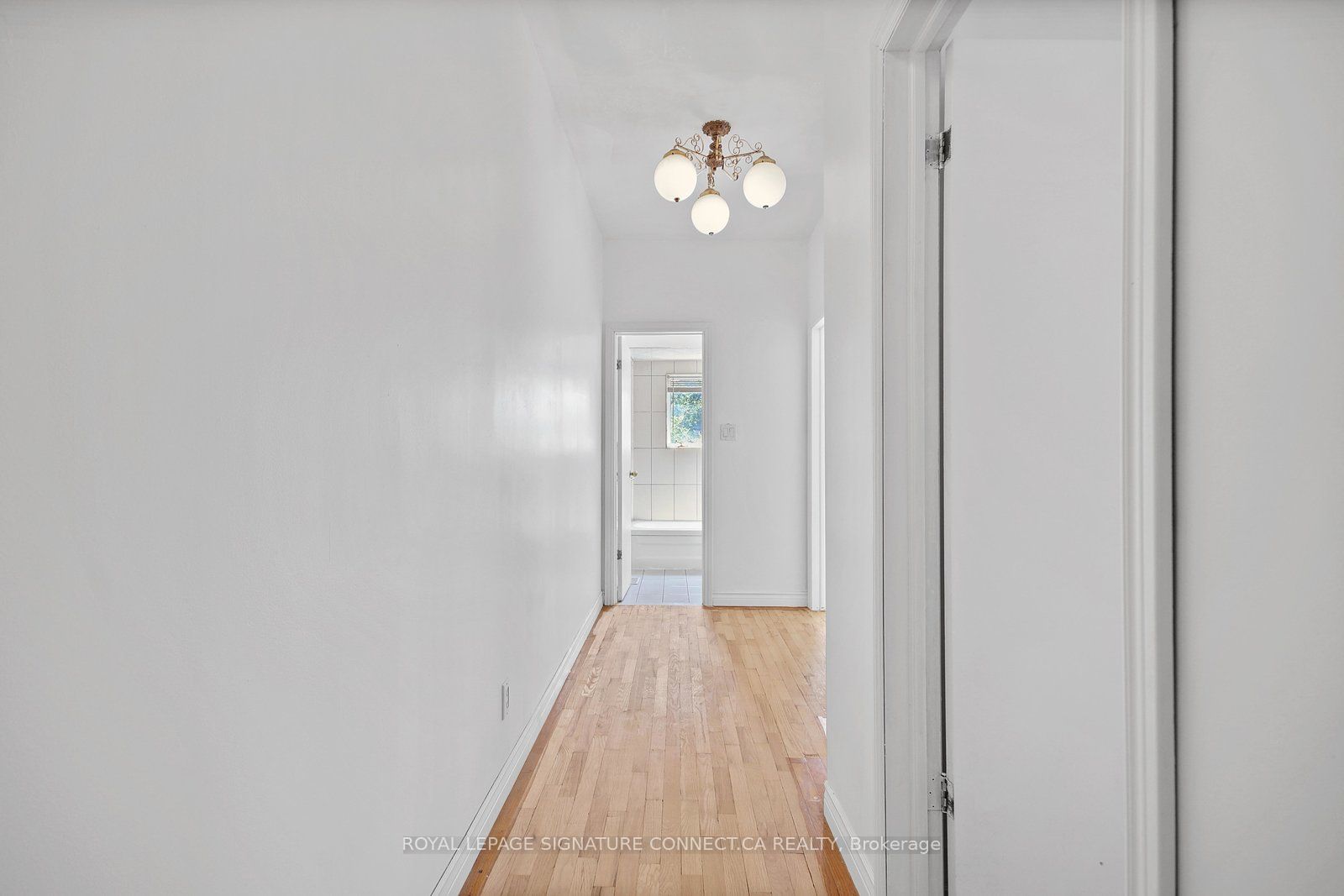 19 Mitchell Avenue Main Property Photo 18