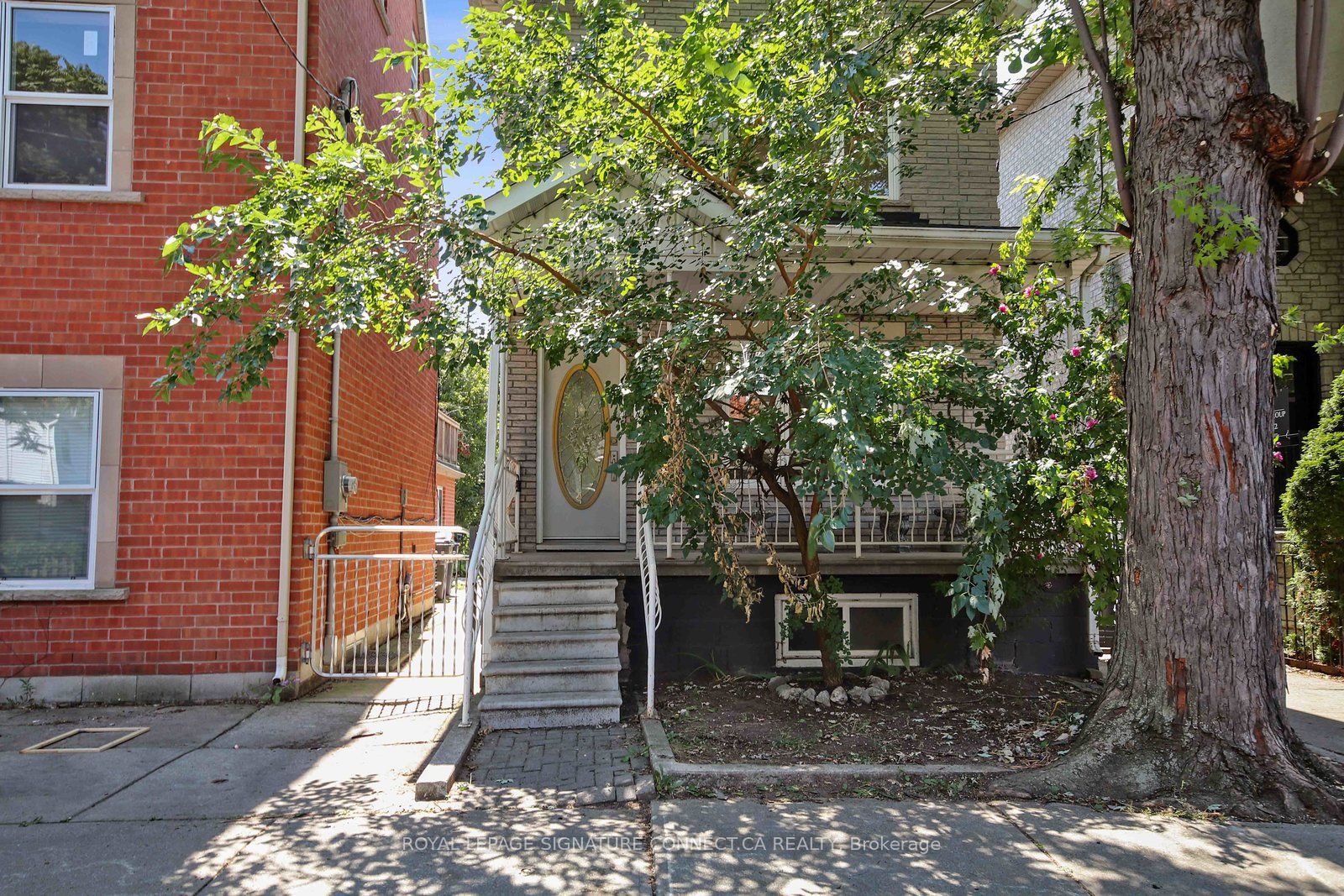 19 Mitchell Avenue Main Property Photo 19