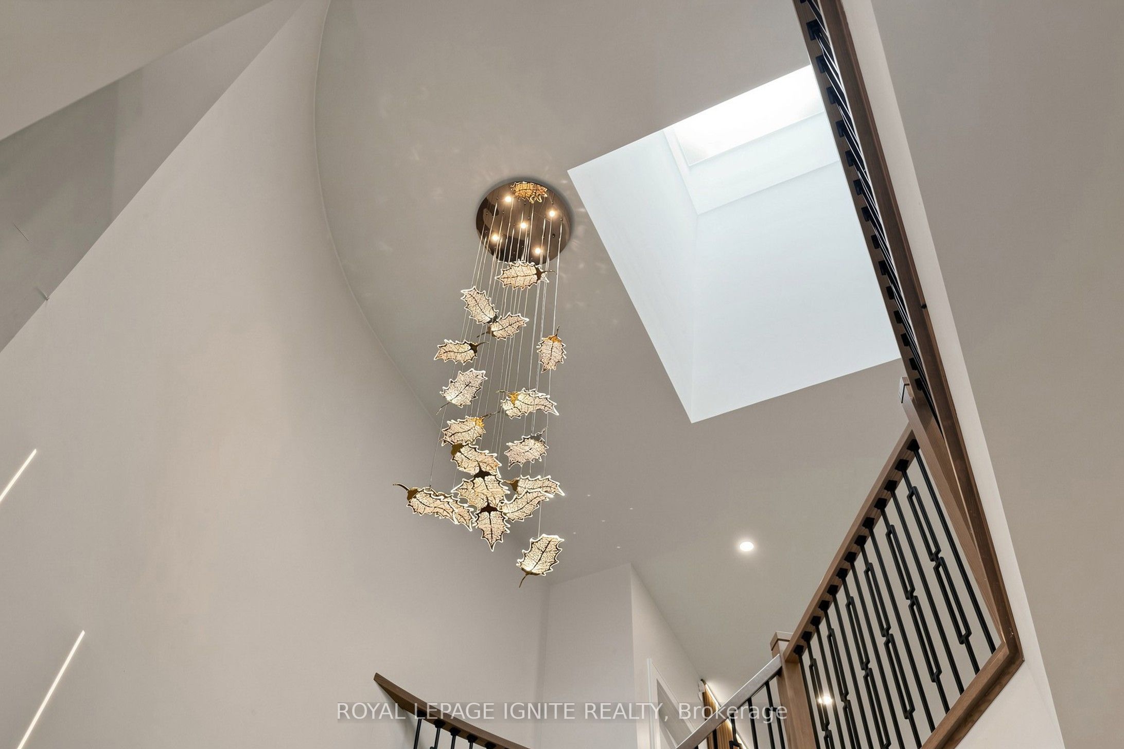 26 Devondale Avenue Property Photo 17