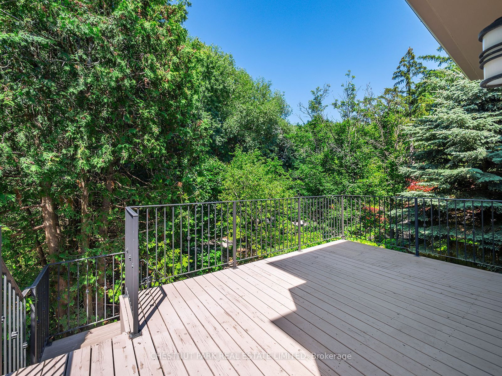 207 Forest Hill Road Property Photo 37