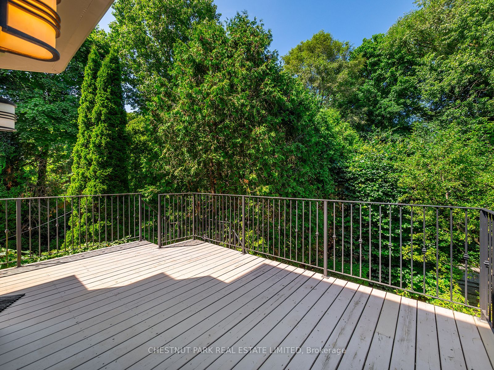 207 Forest Hill Road Property Photo 39