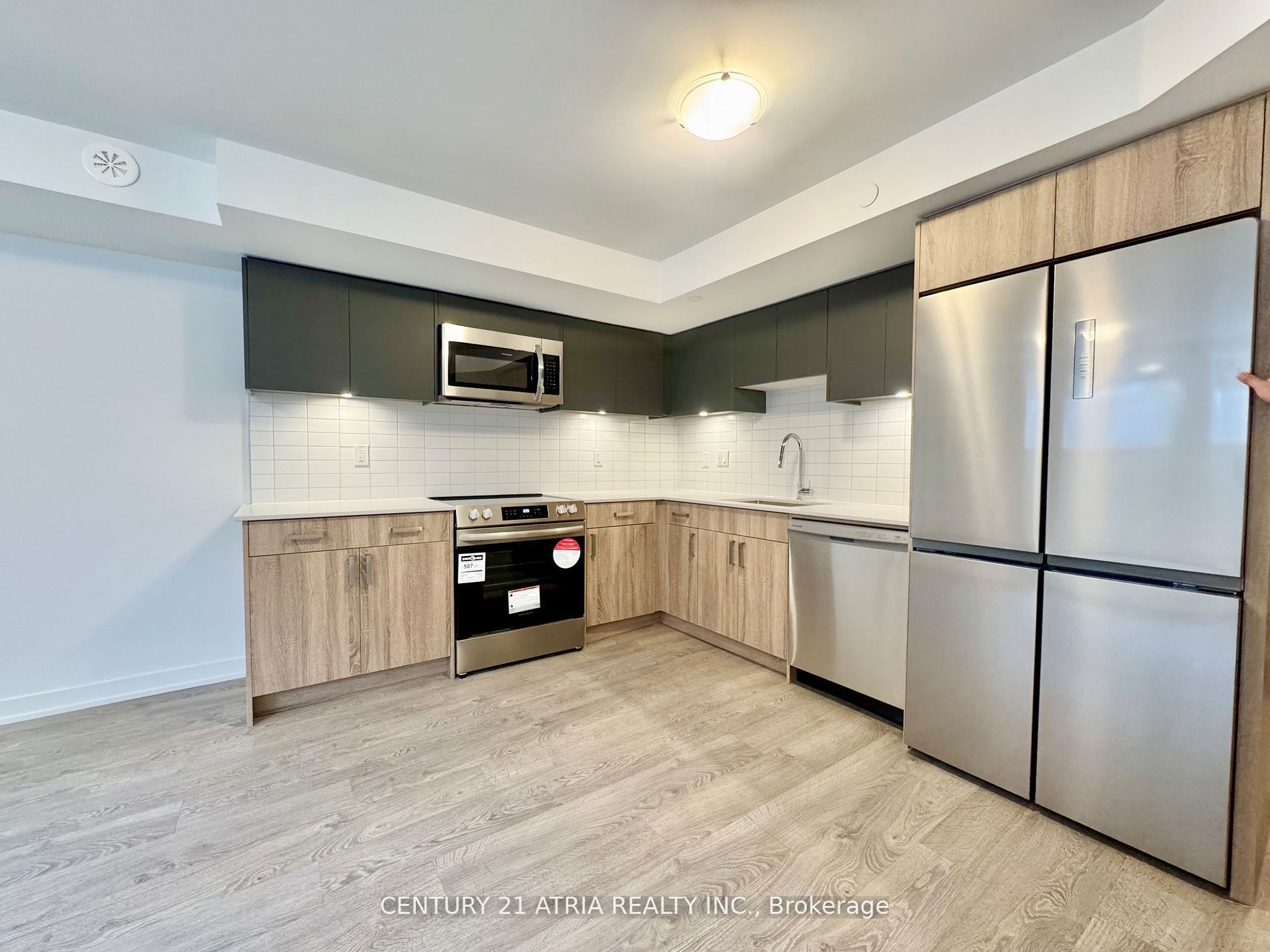 22 Deep Roots Terrace Basement Property Photo 2