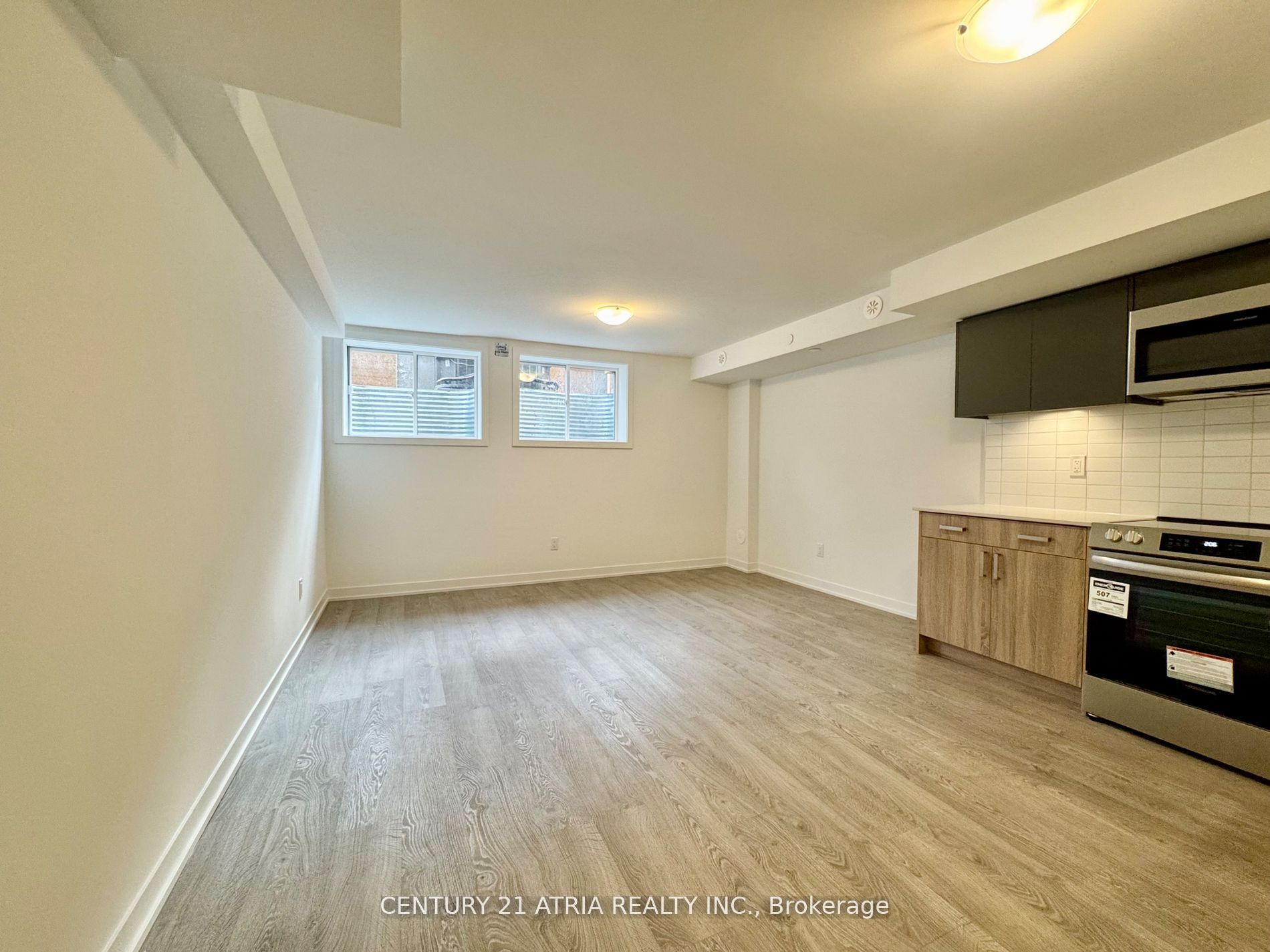 22 Deep Roots Terrace Basement Property Photo 5