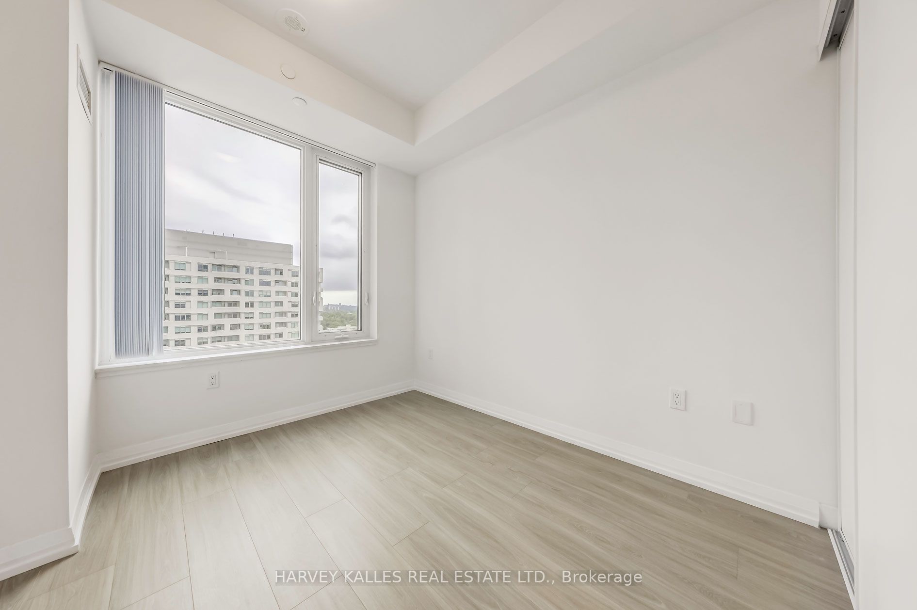 25 Holly Street 2604 Property Photo 10