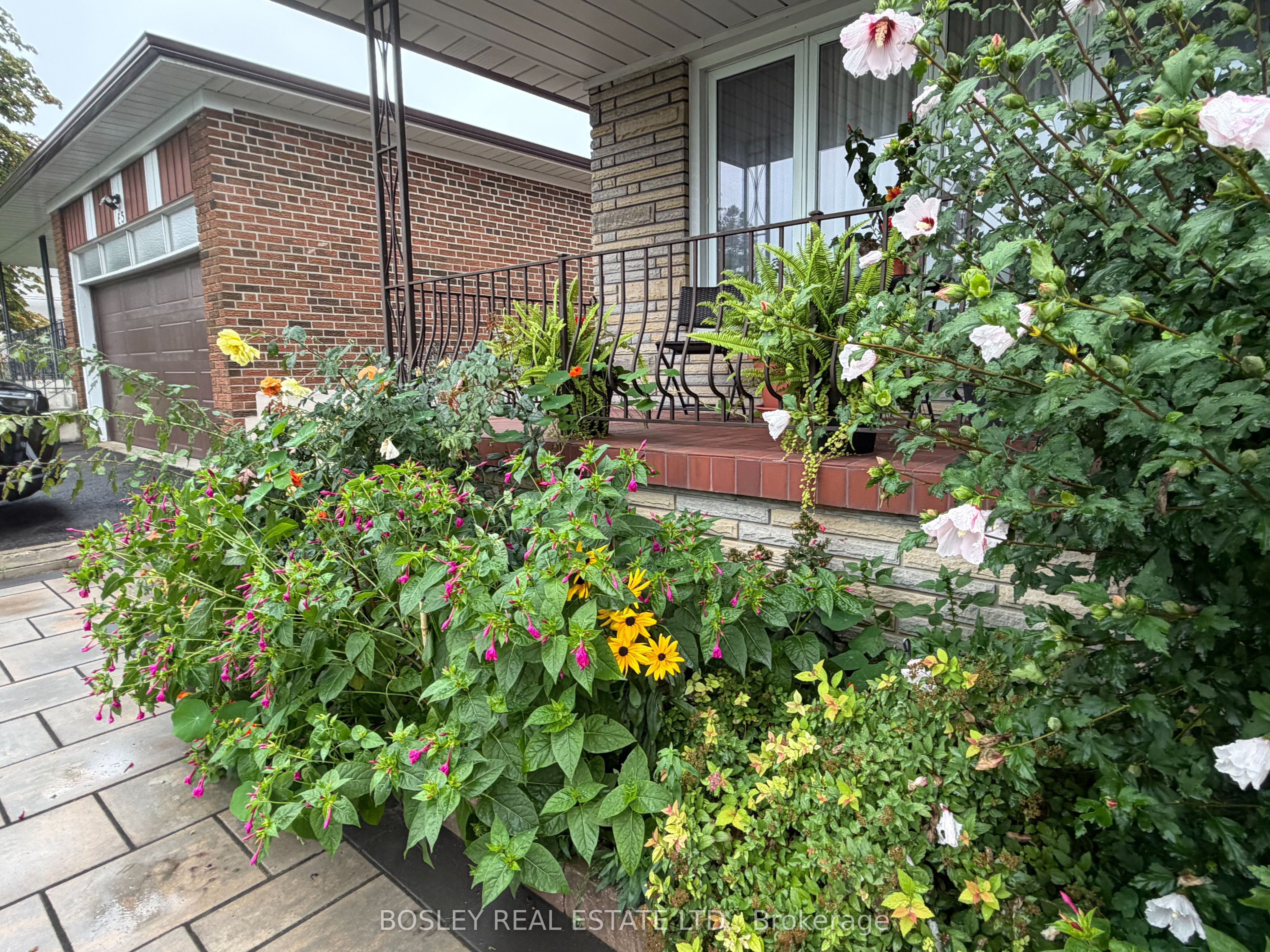 63 Ernest Avenue Lower Property Photo 4
