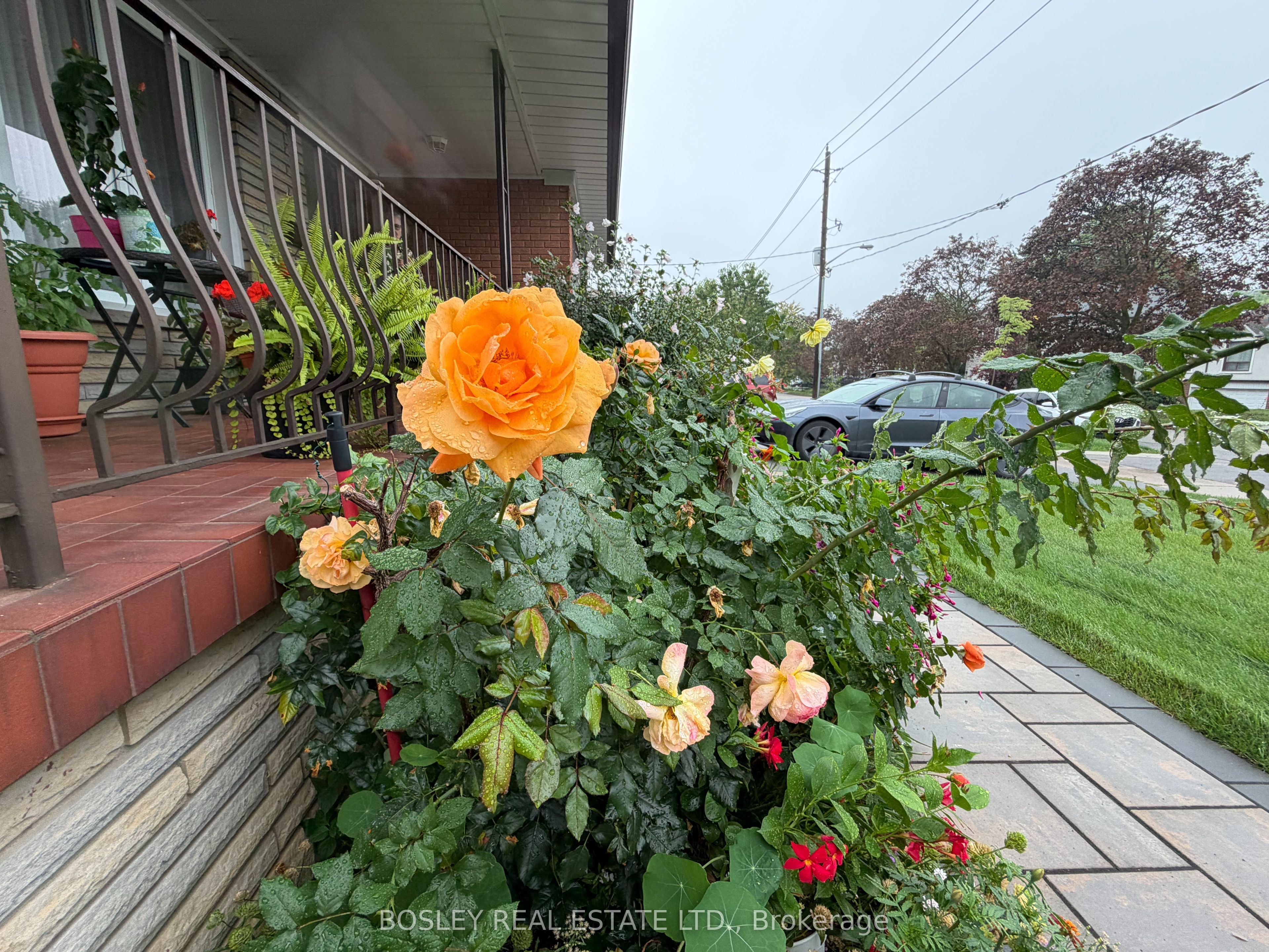 63 Ernest Avenue Lower Property Photo 33
