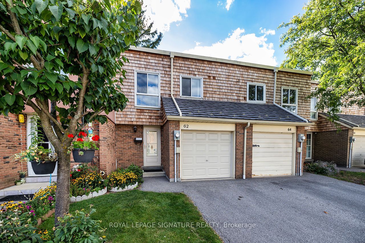 62 Thorny Vineway