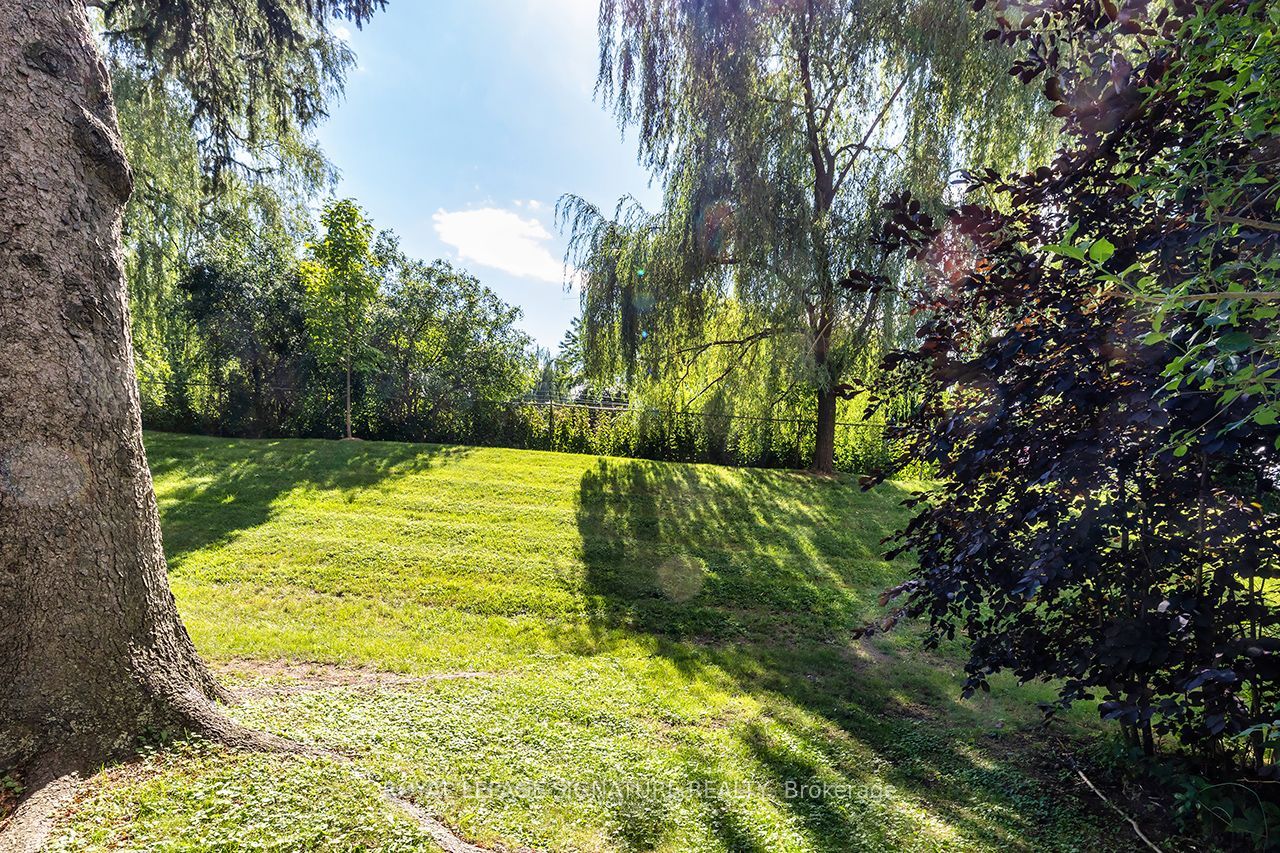 62 Thorny Vineway Property Photo 14