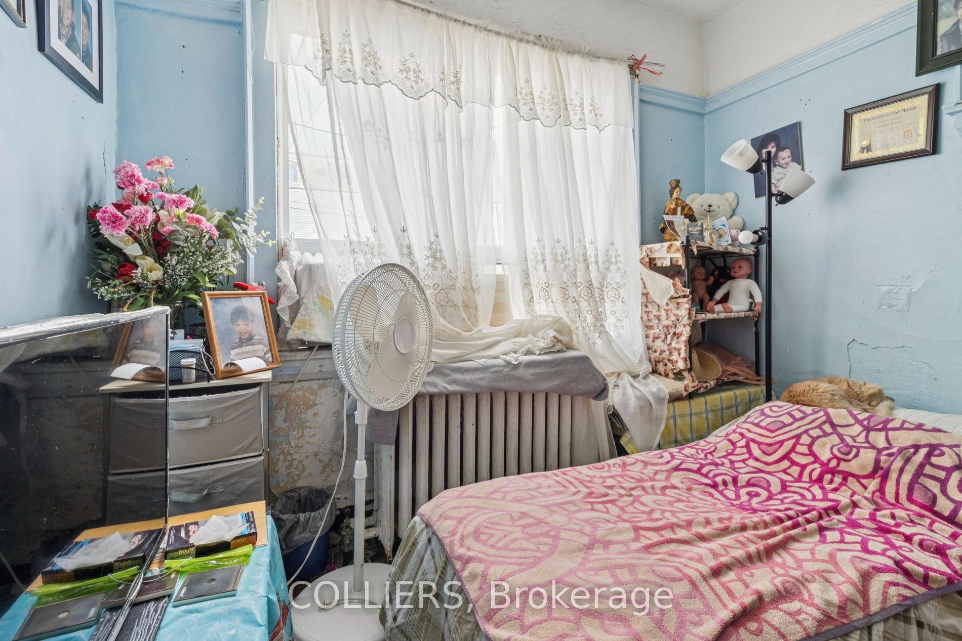 225 Vaughan Road Property Photo 23