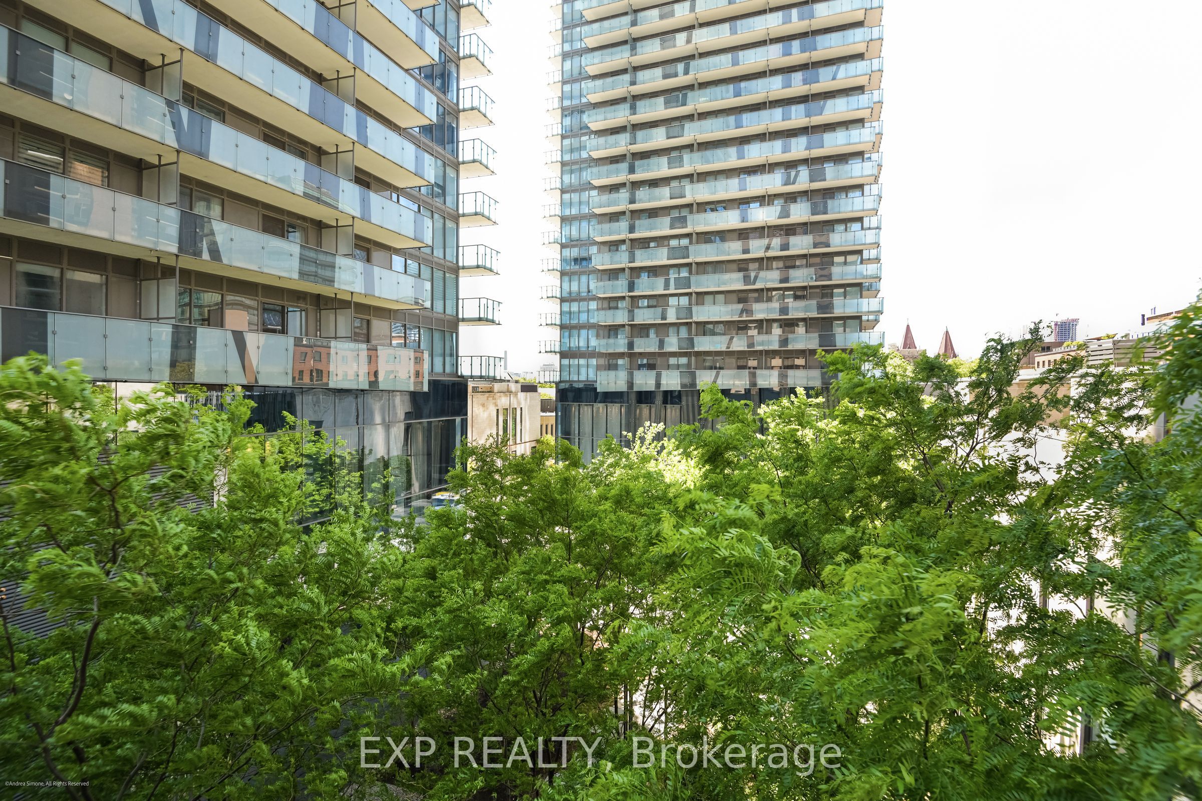 1084 Bay Street Property Photo 37
