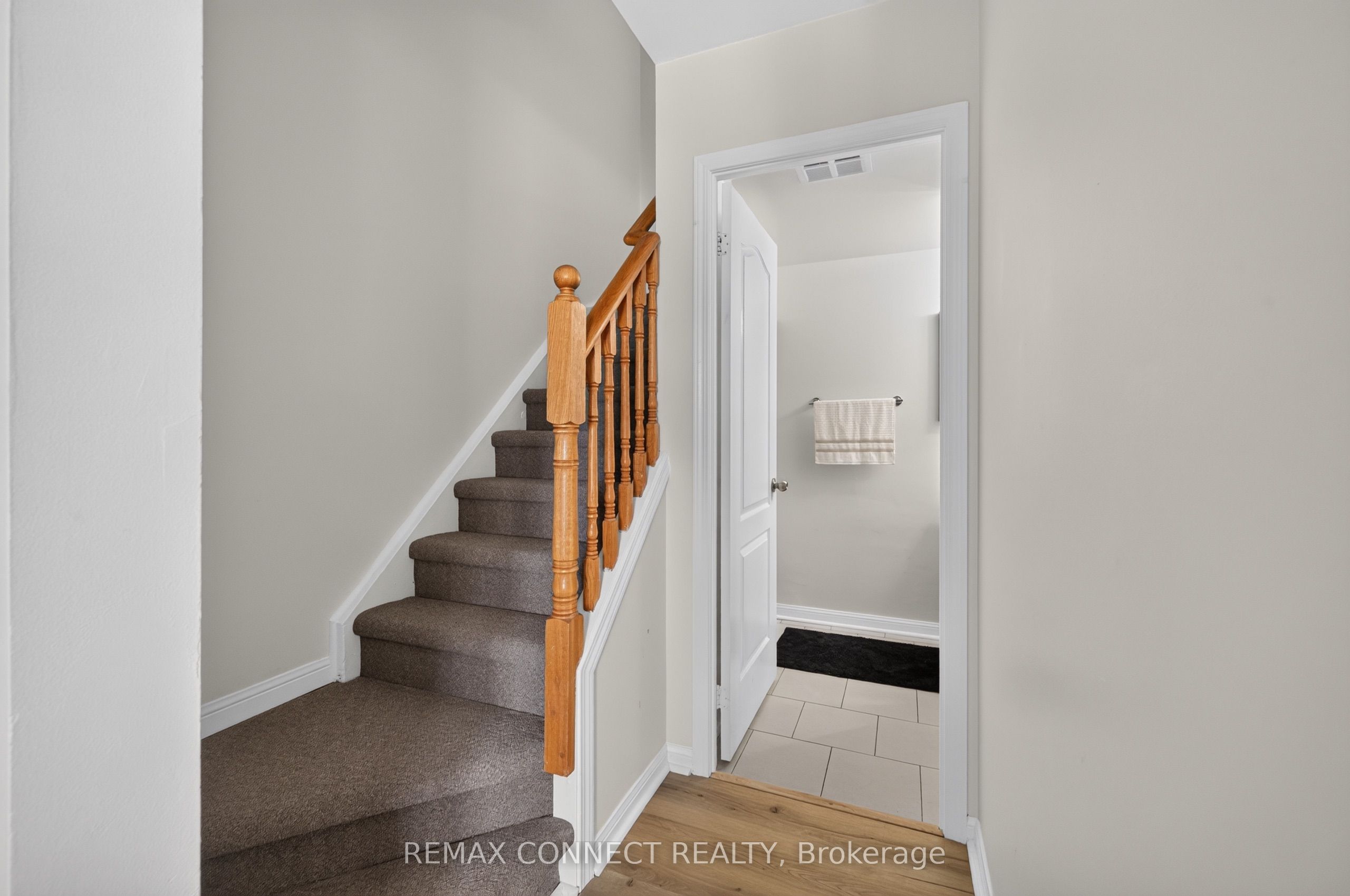 7b Crawford Street Property Photo 19