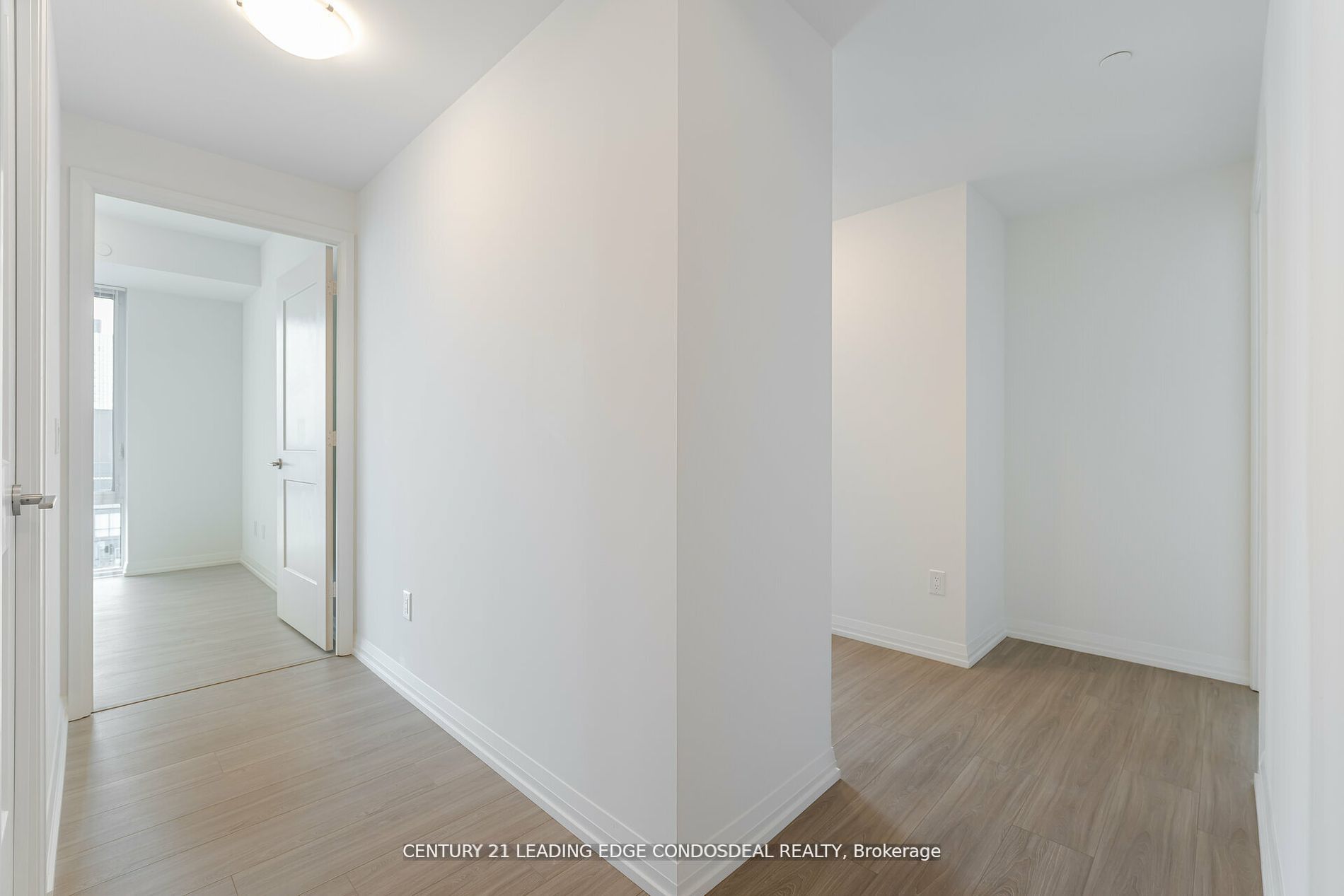 28 Widmer Street 4929 Property Photo 7
