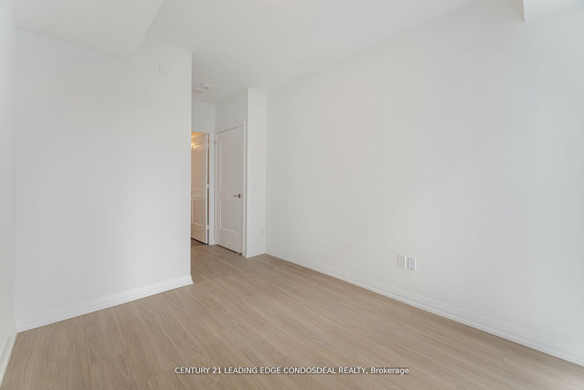 28 Widmer Street 4929 Property Photo 18