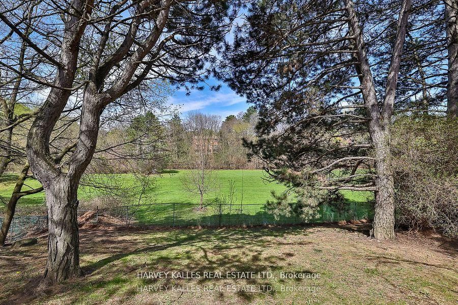 38 Fifeshire Road Property Photo 34