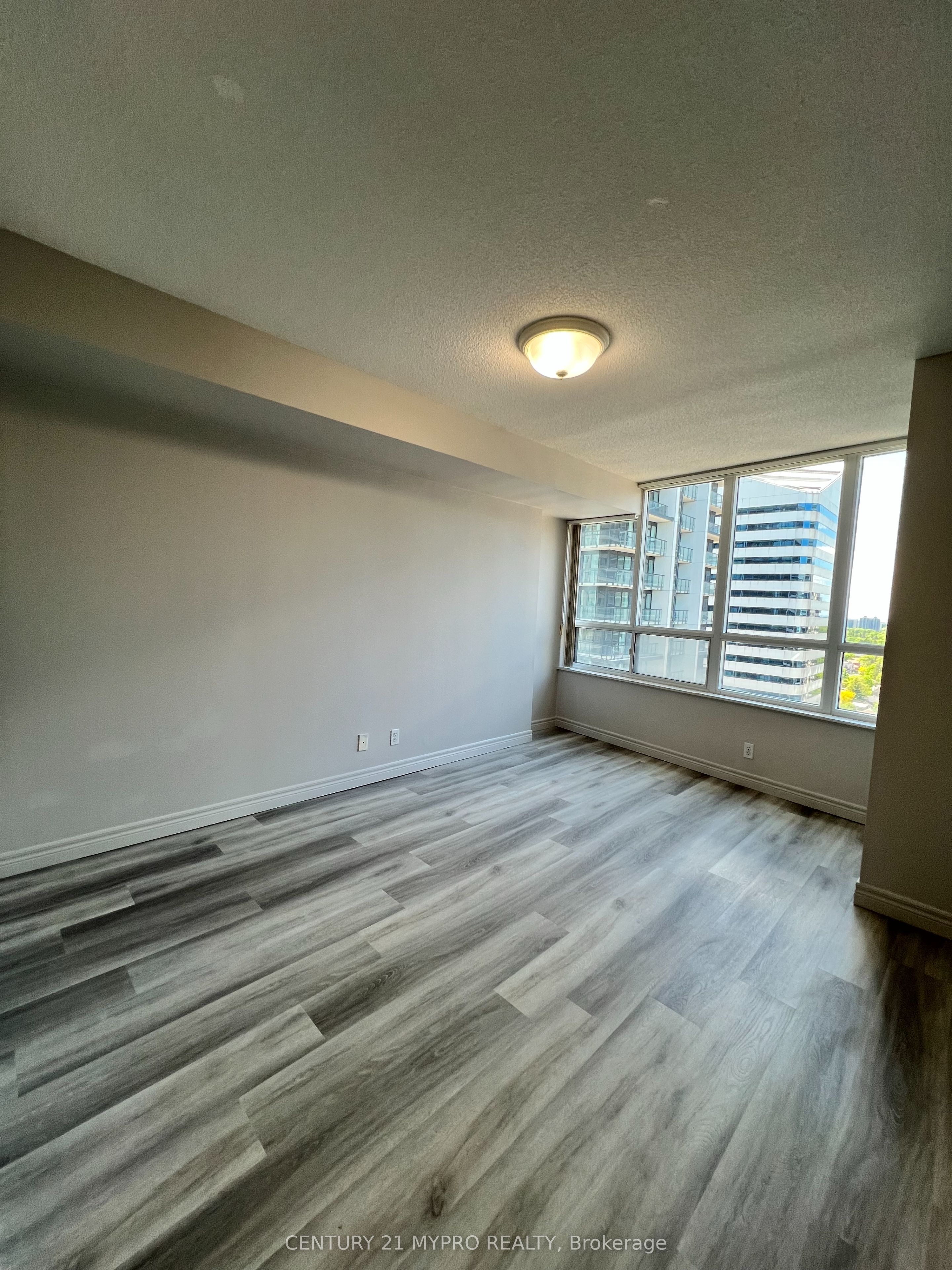 23 Hollywood Avenue 2702 Property Photo 3