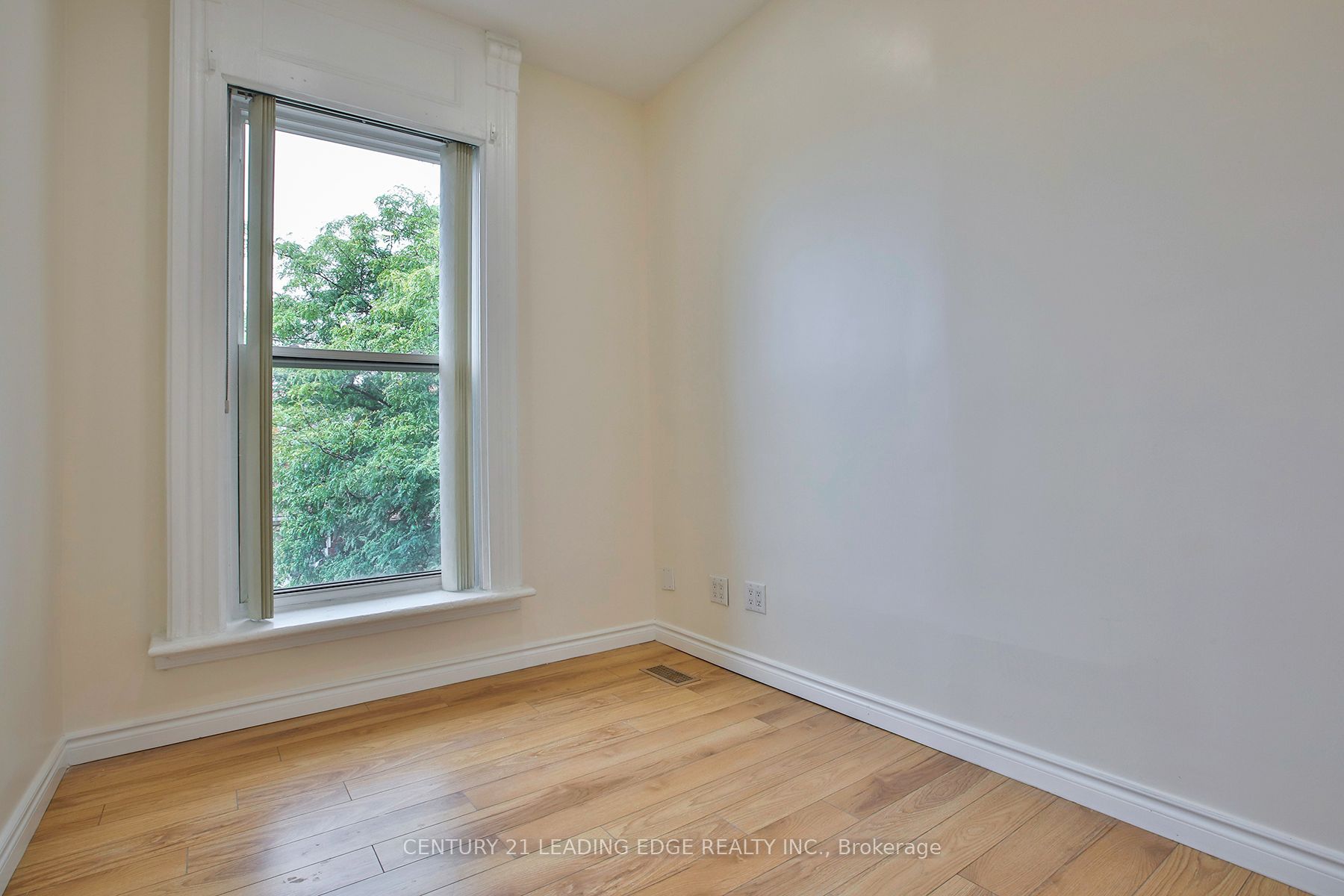 9 Borden Street Property Photo 34