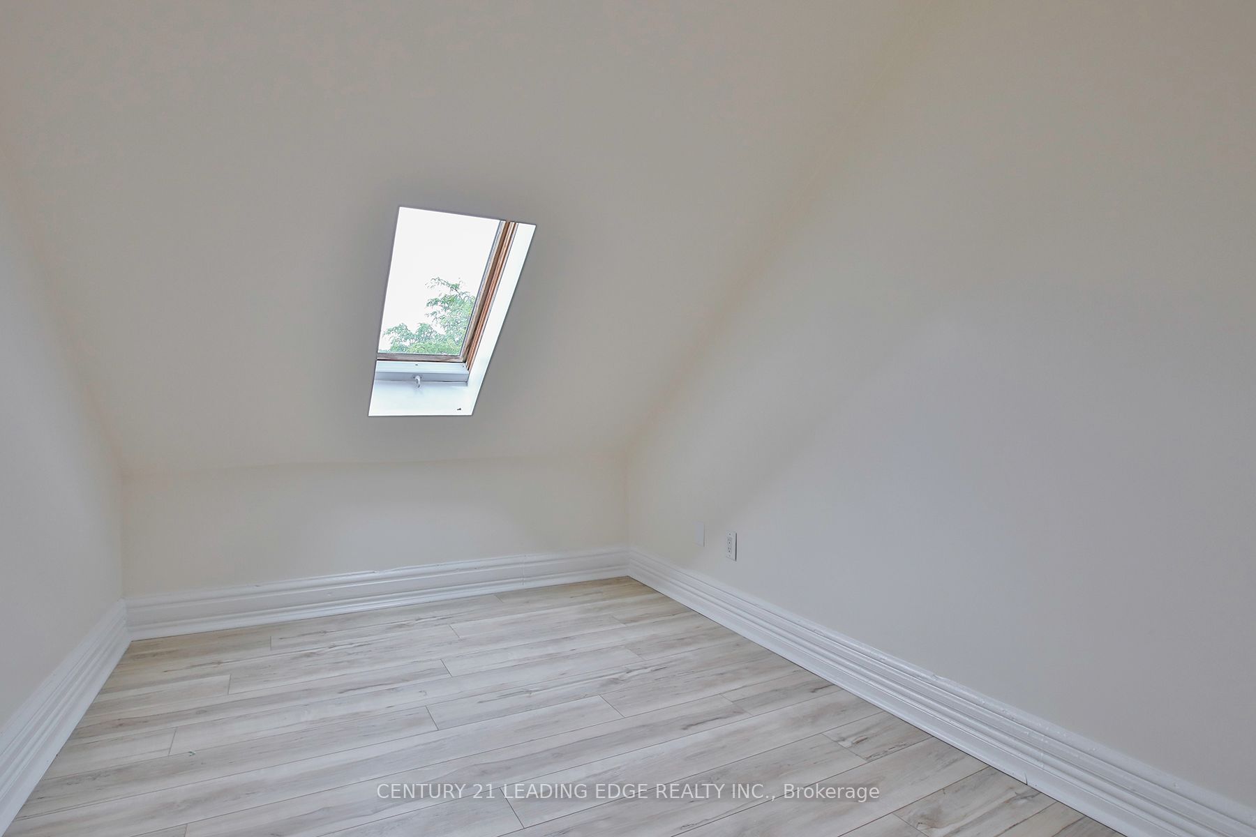 9 Borden Street Property Photo 41