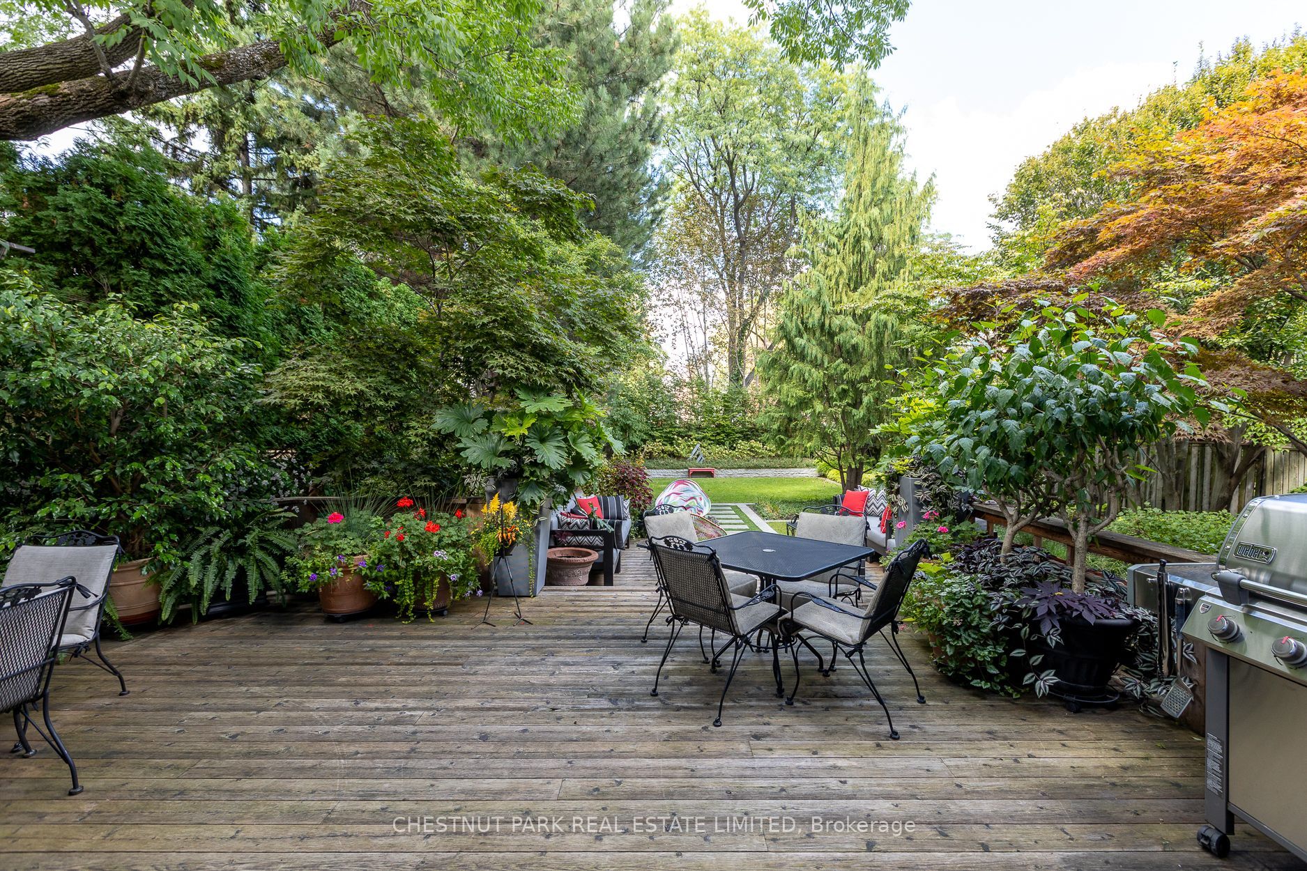 12 Shorncliffe Avenue Property Photo 41