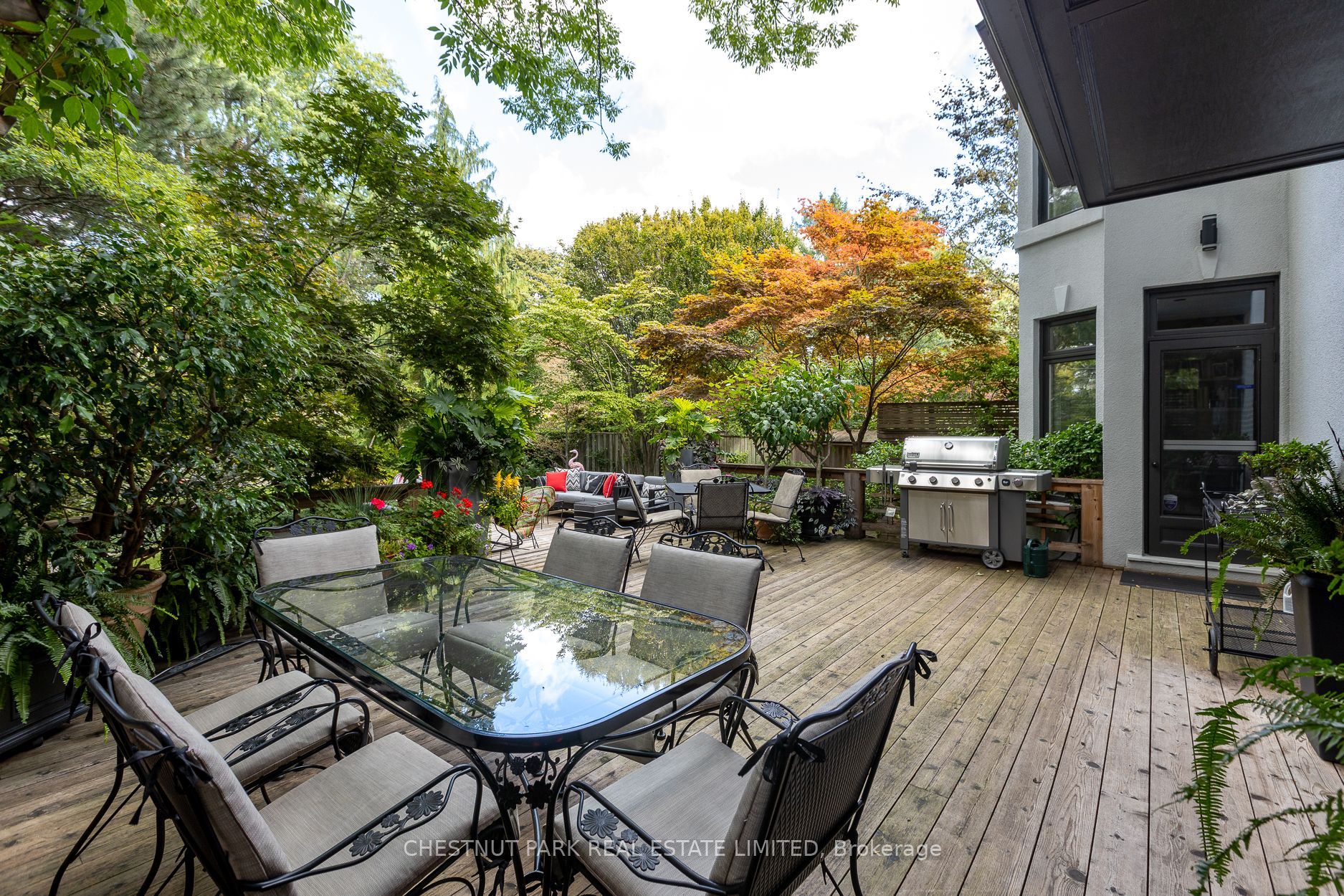 12 Shorncliffe Avenue Property Photo 42