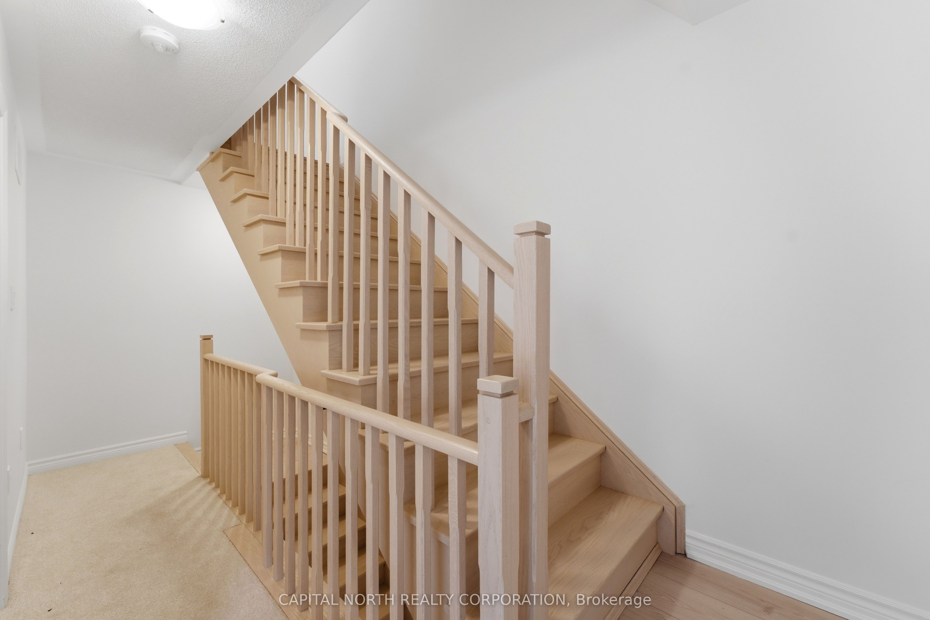 54b Touraine Avenue Property Photo 16