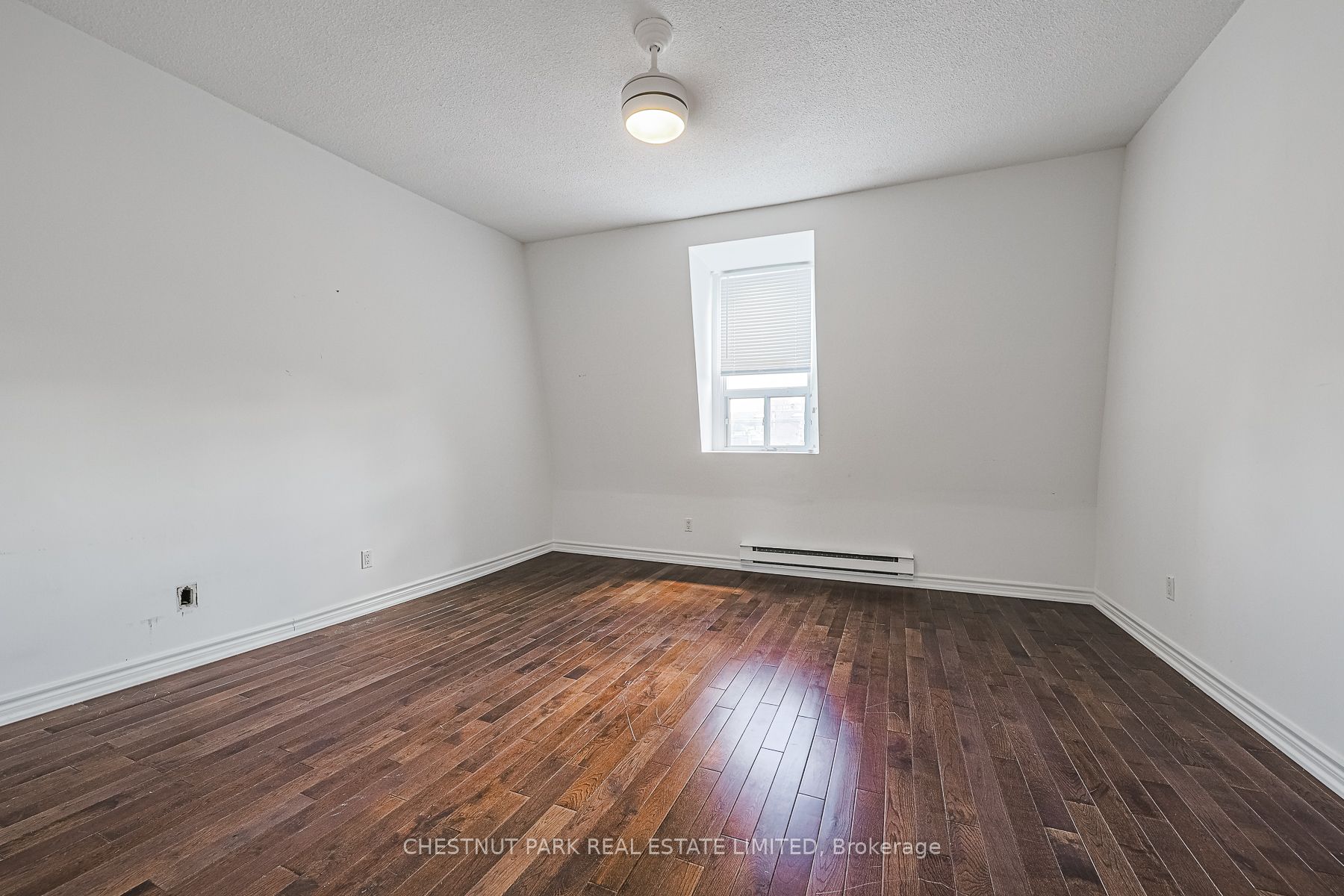 650a Queen Street W #1 Property Photo 24