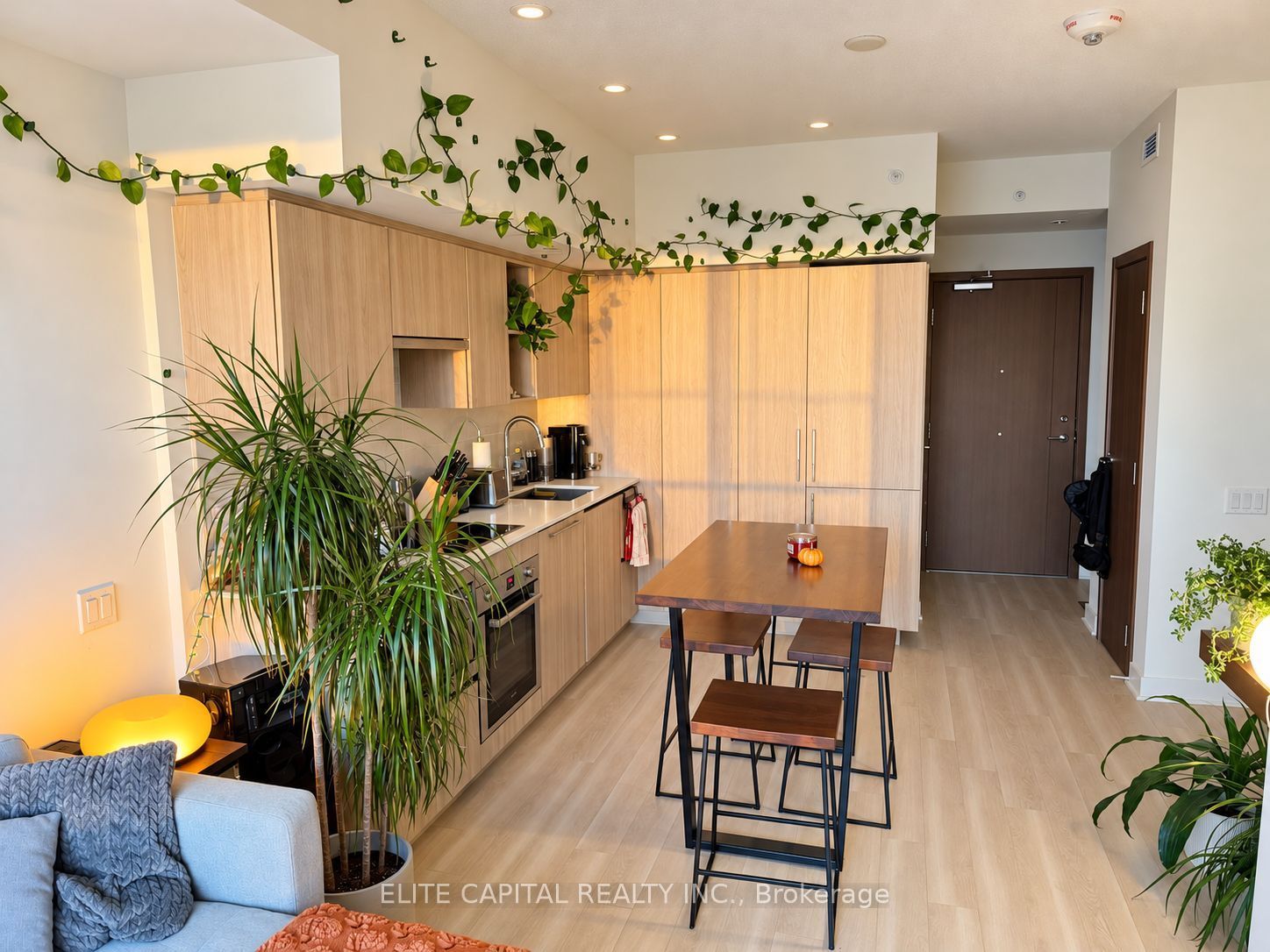 19 Bathurst Street 3607 Property Photo 4
