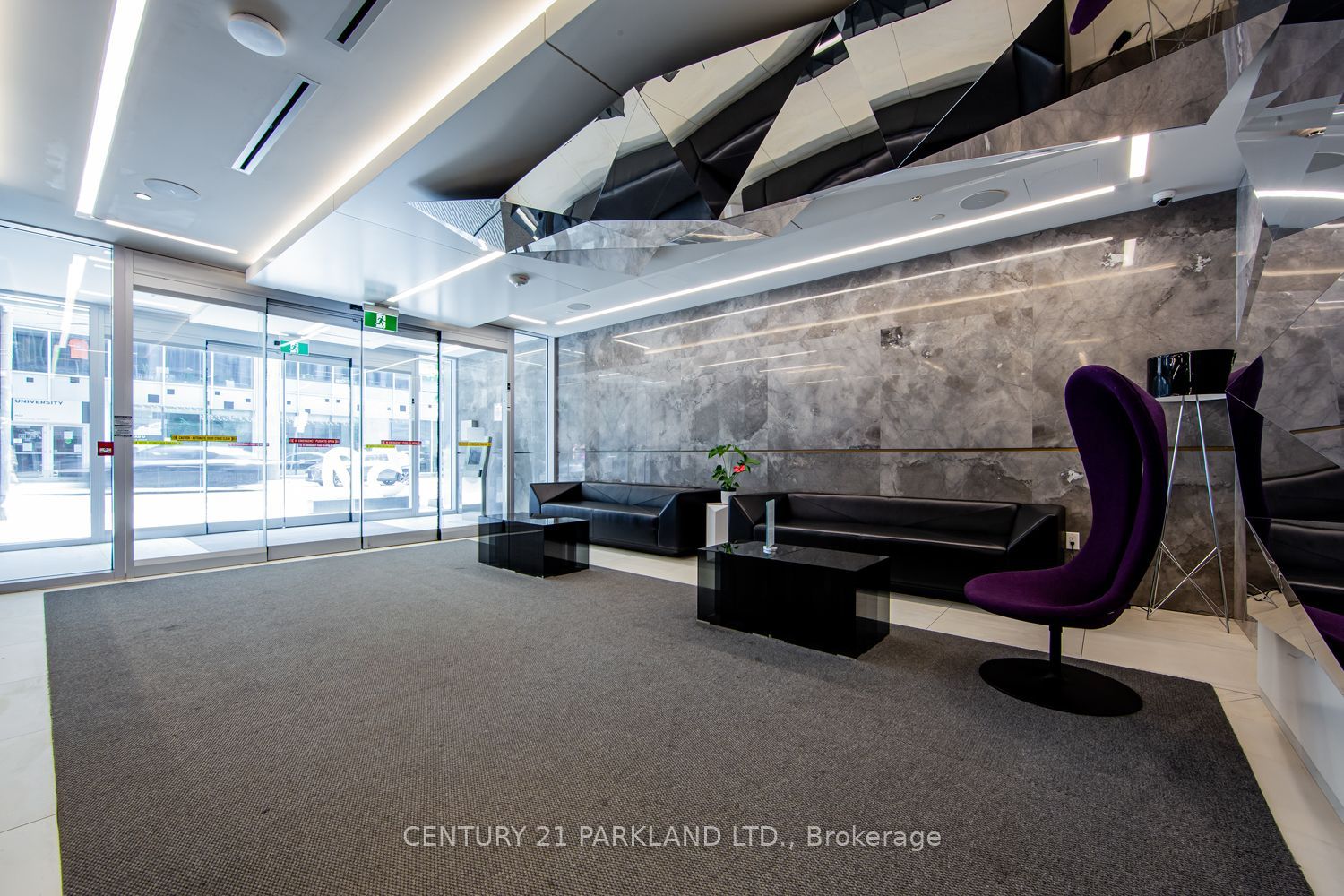 50 Mccaul Street 607 Property Photo 3