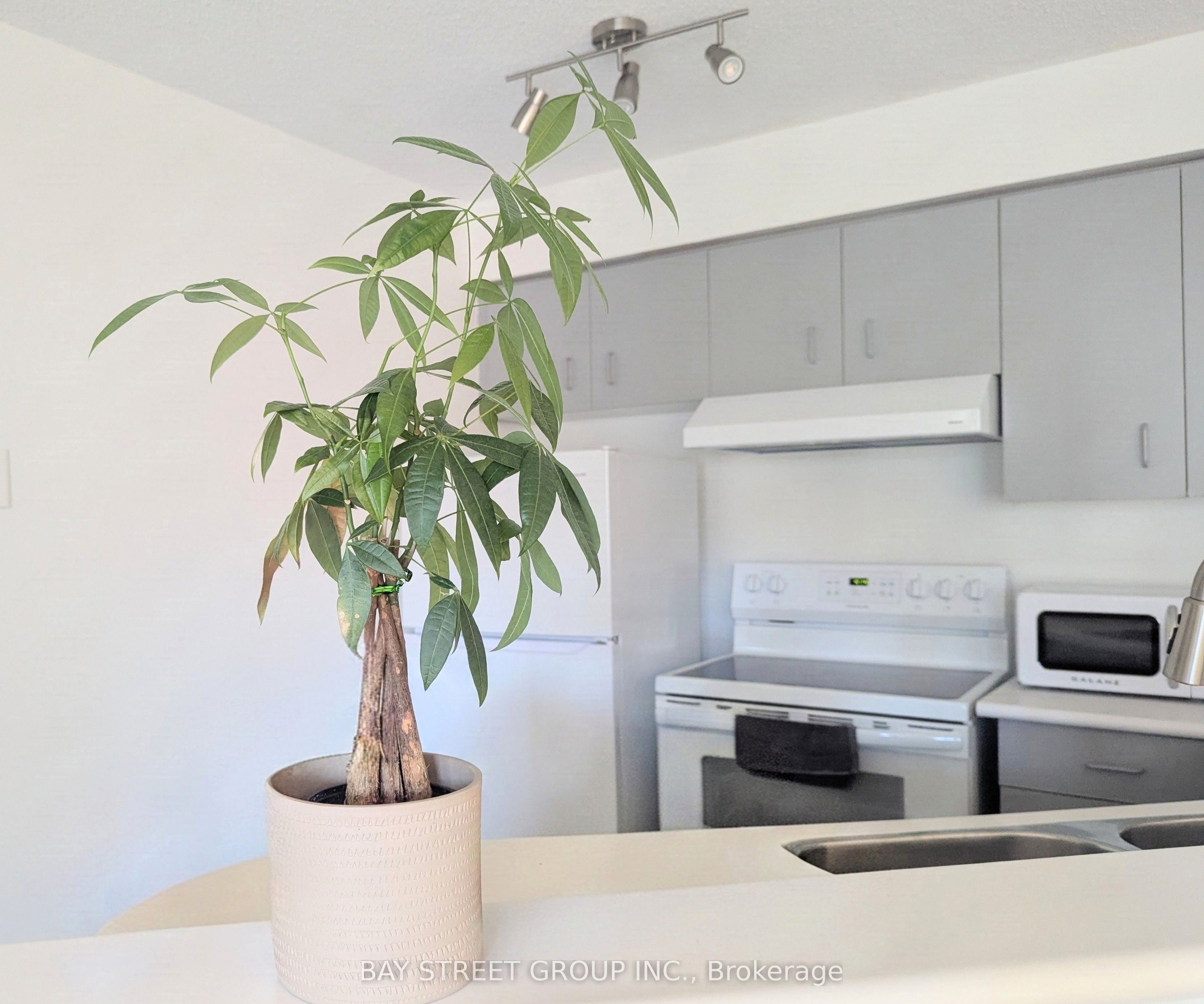 25 Grenville Street 1106 Property Photo 7