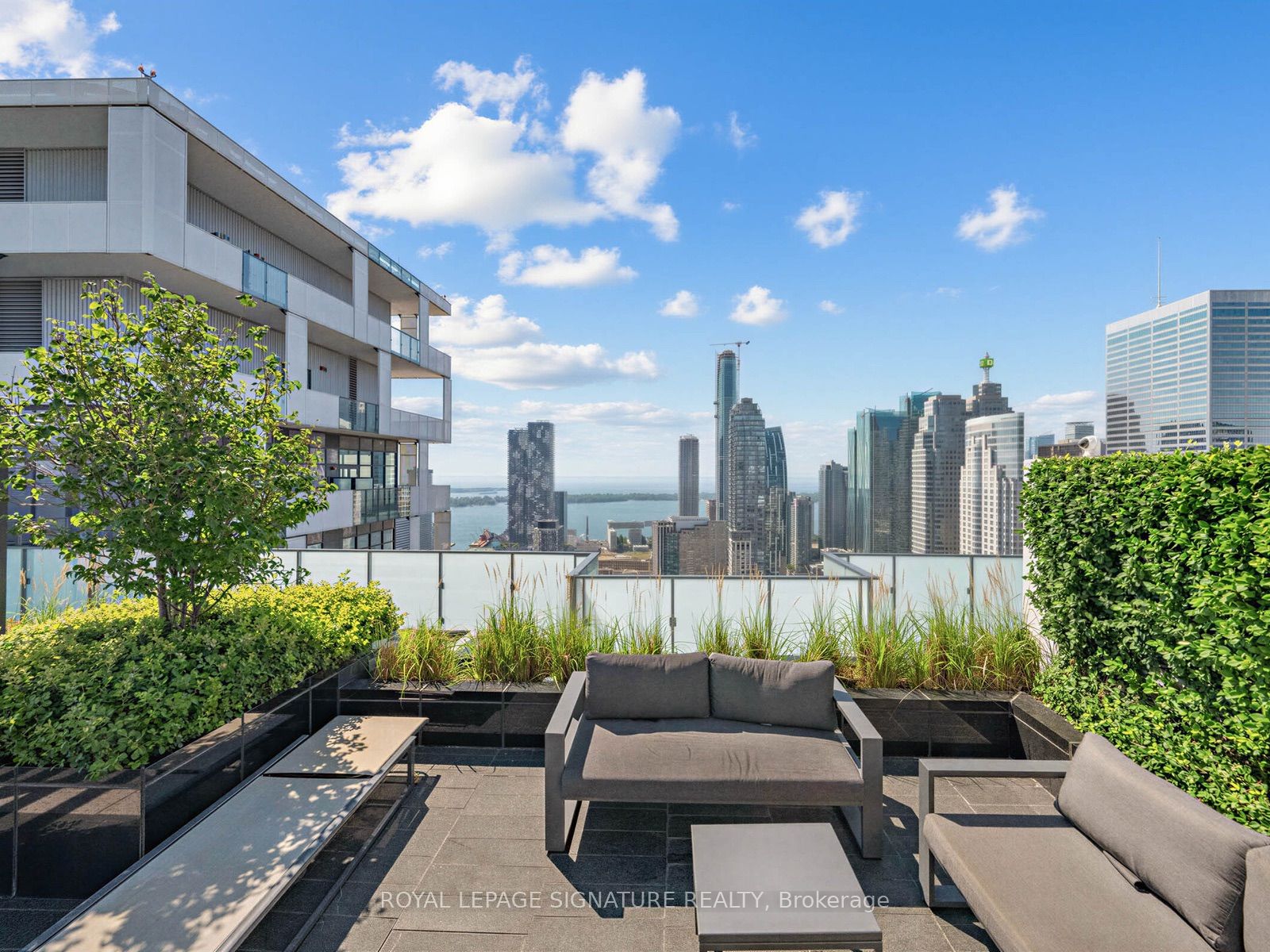 20 Lombard Street 3707 Property Photo 31