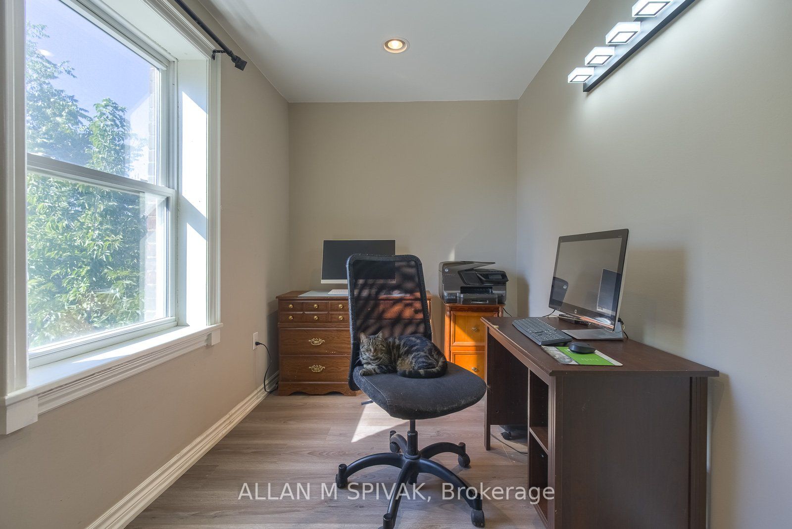 442 Crawford Street Property Photo 11
