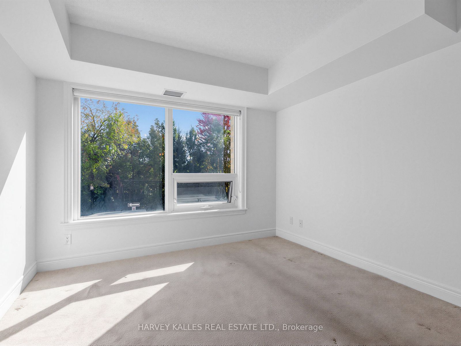 701 Sheppard Avenue 217 Property Photo 16