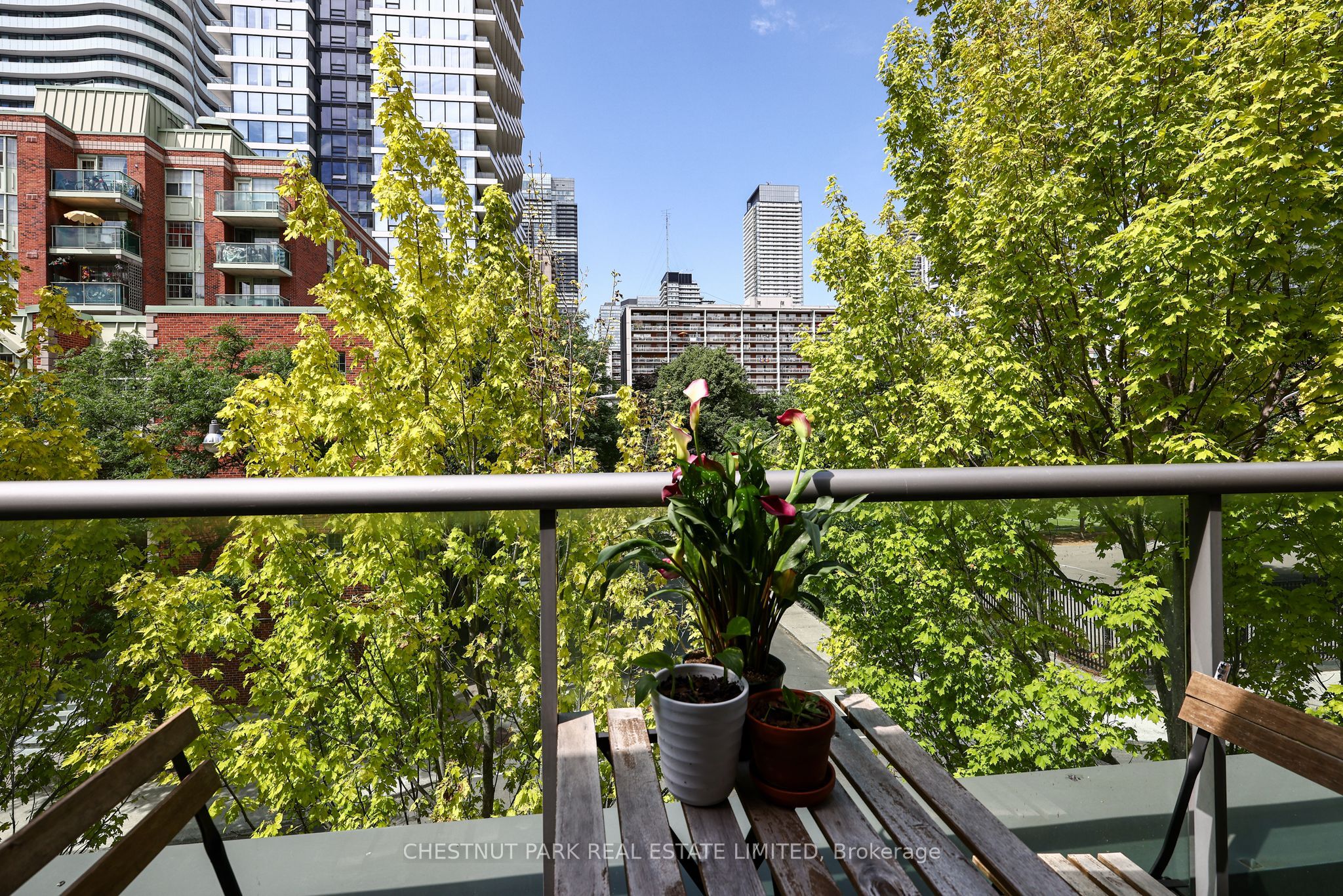 271 Mutual Street Property Photo 23