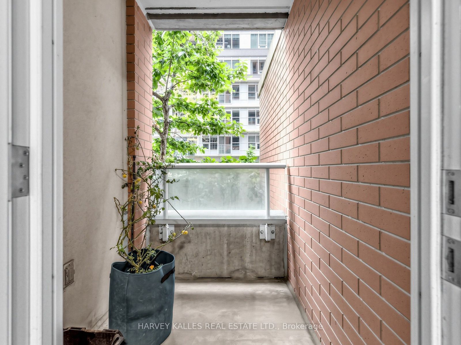 65 East Liberty Street 224 Property Photo 13