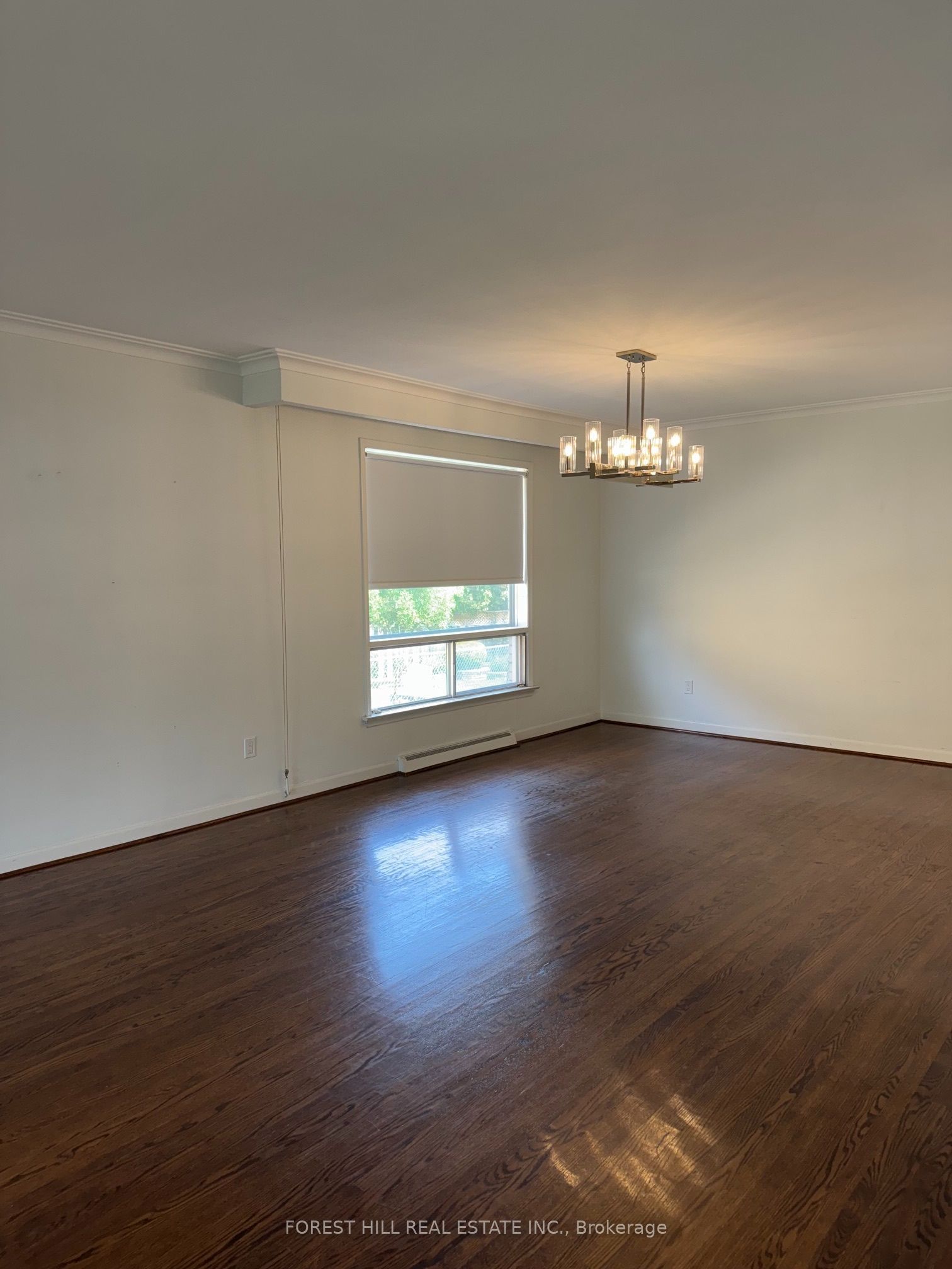 3 Tokay Court Property Photo 5
