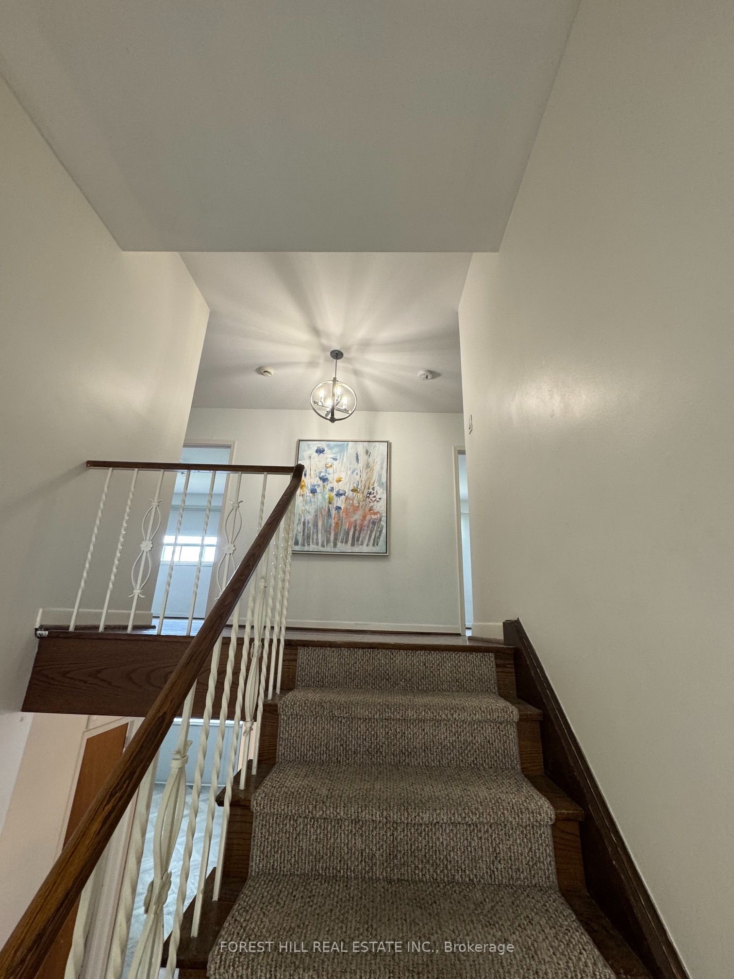 3 Tokay Court Property Photo 20
