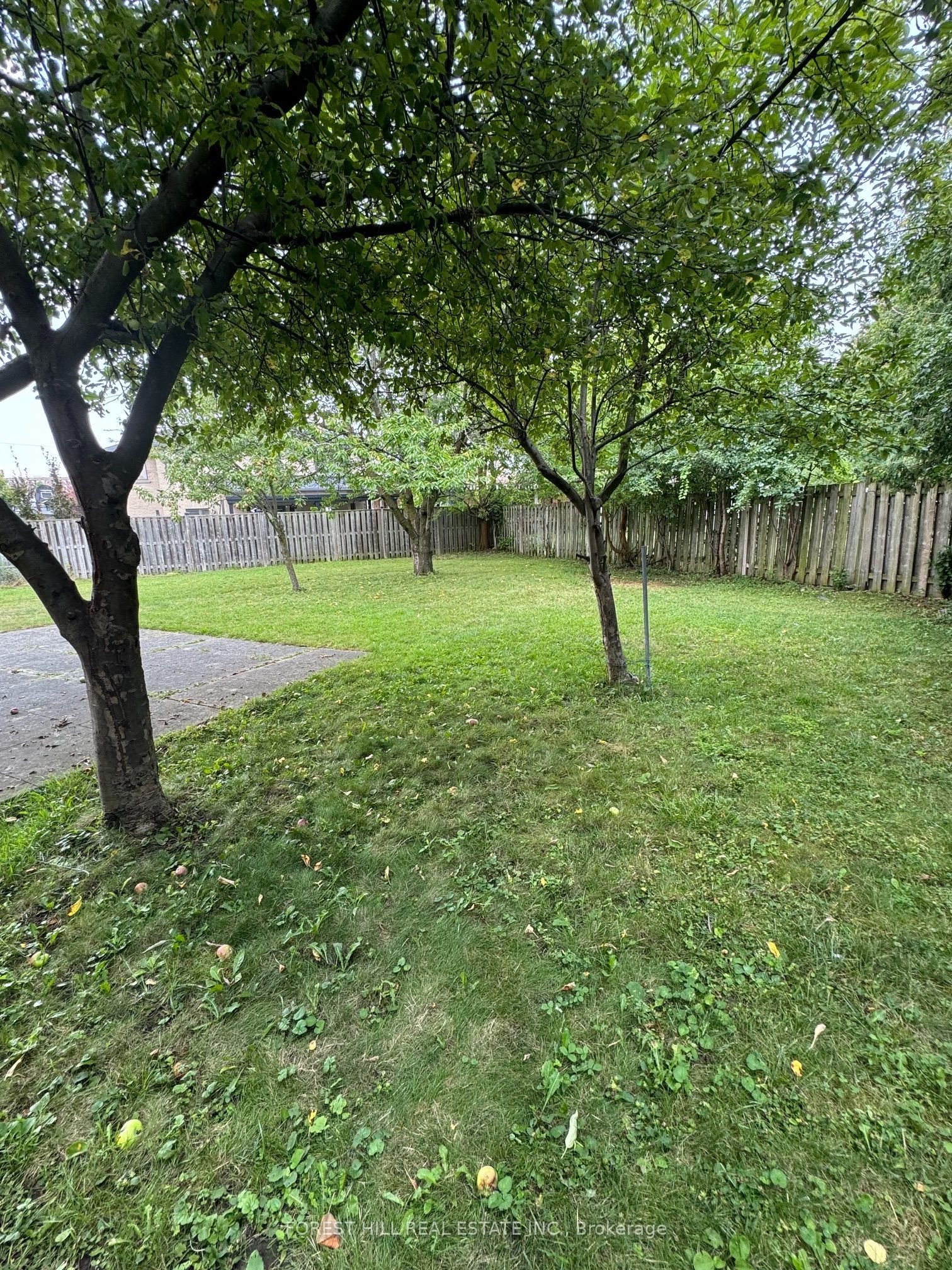 3 Tokay Court Property Photo 31