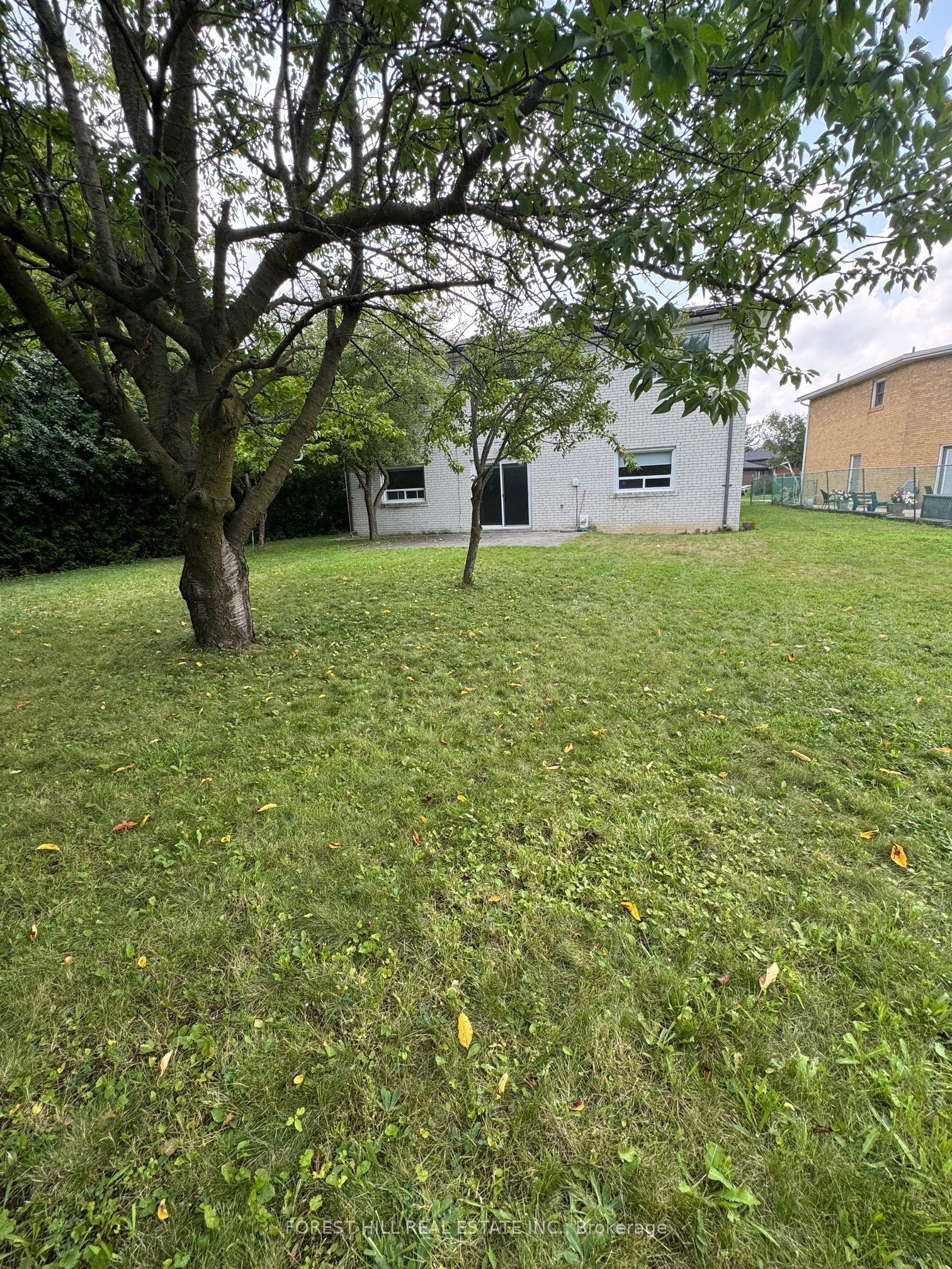 3 Tokay Court Property Photo 34
