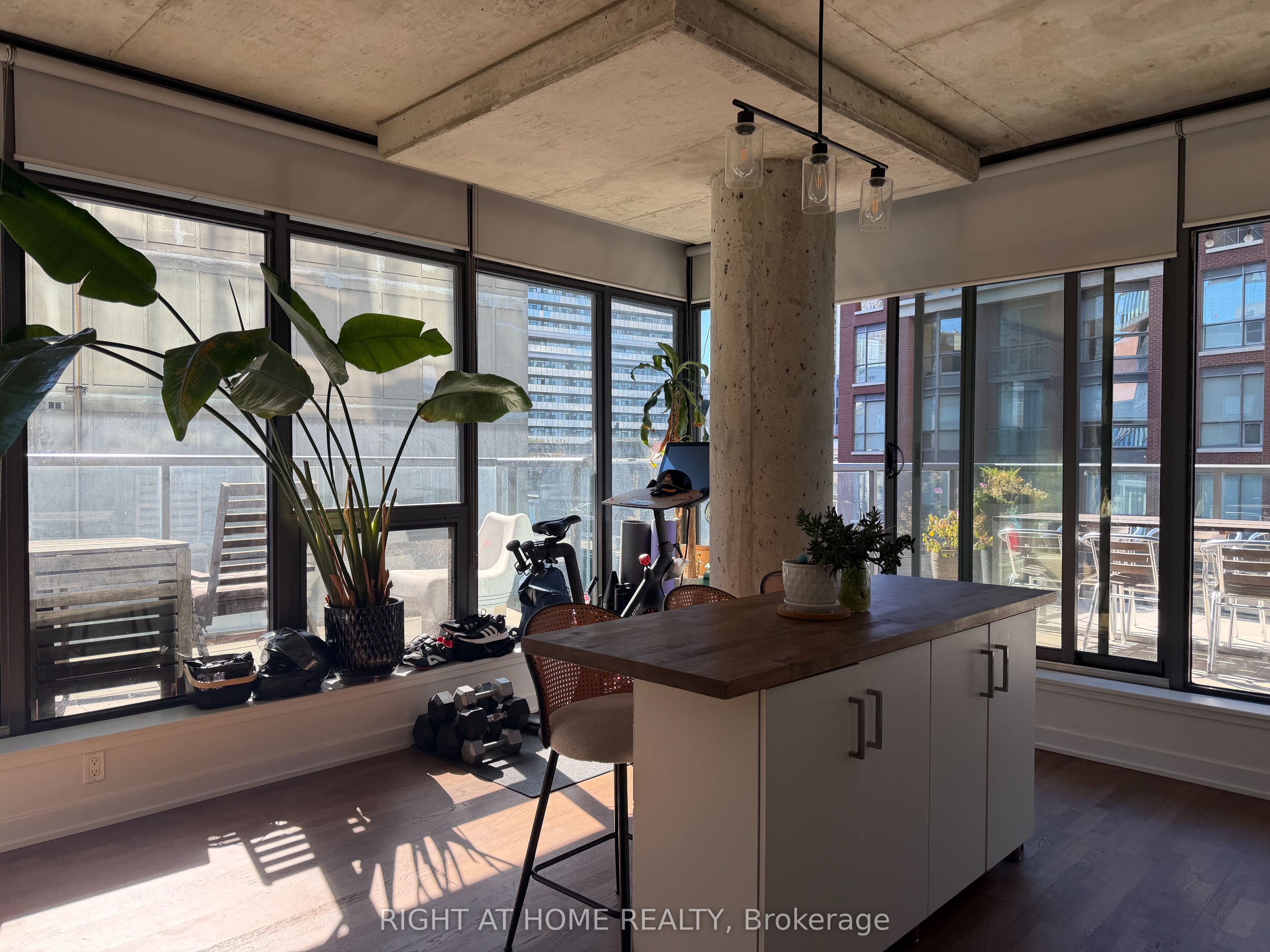 15 Beverley Street 509 Property Photo 12